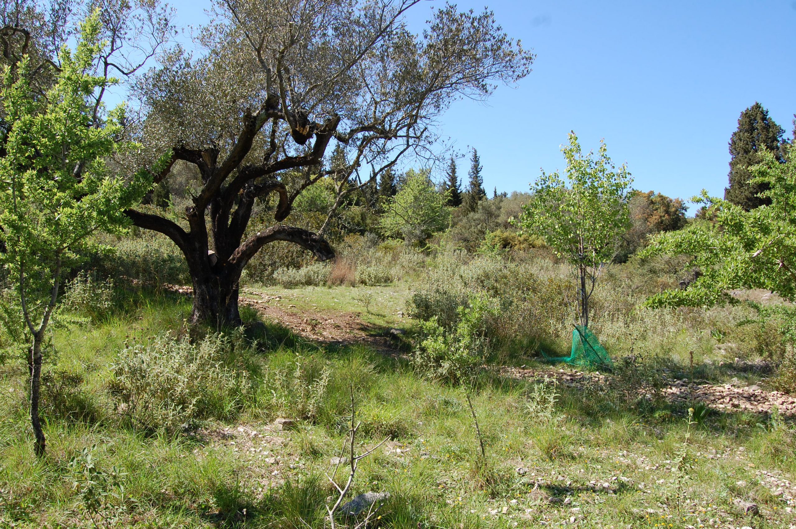 Exterior view of land for sale in Ithaca Greece