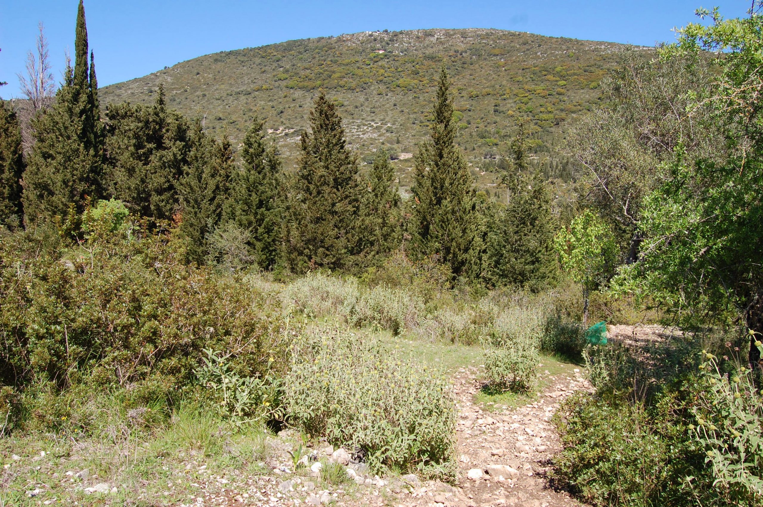 Exterior view of land for sale in Ithaca Greece