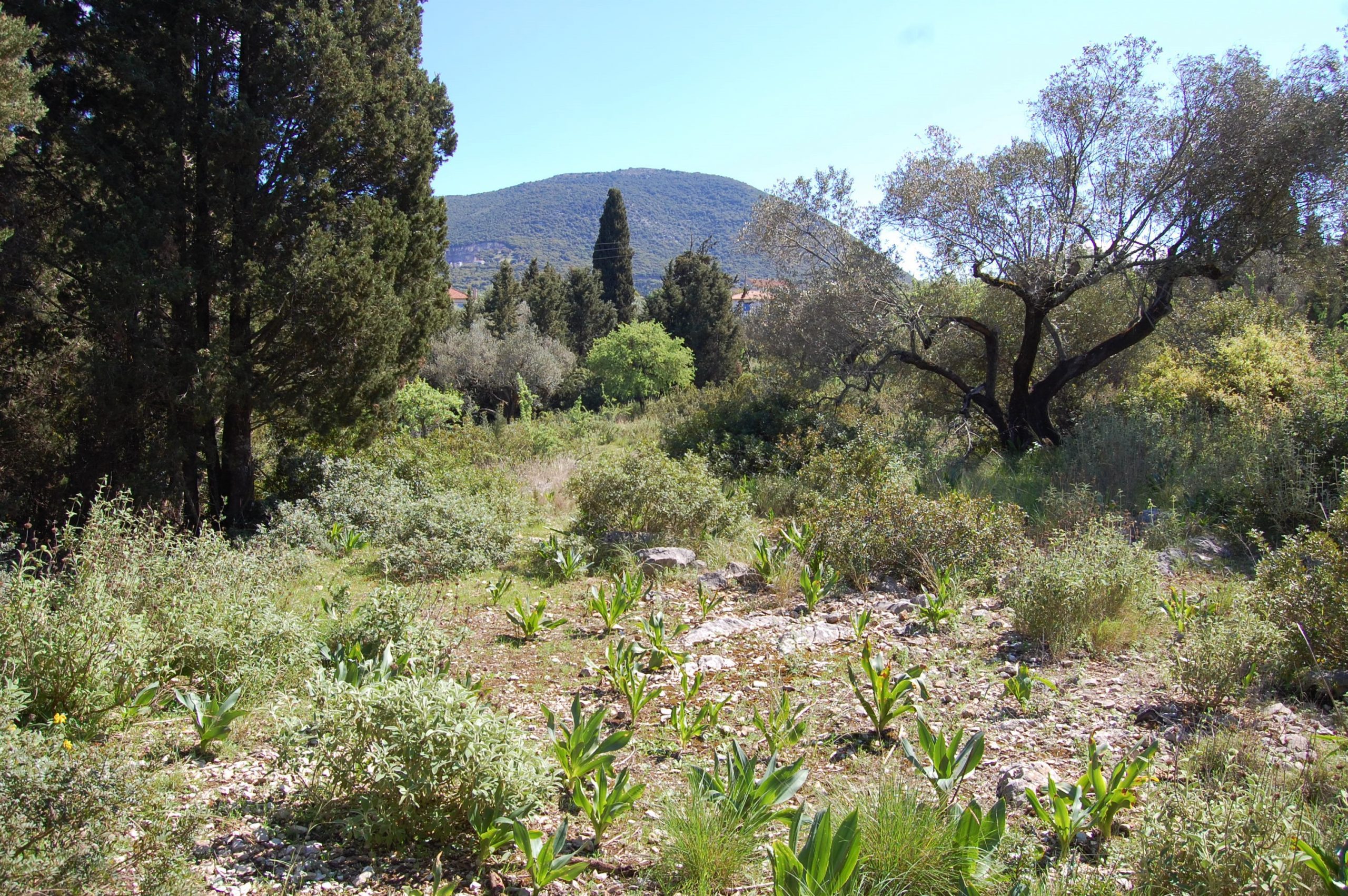 Exterior view of land for sale in Ithaca Greece