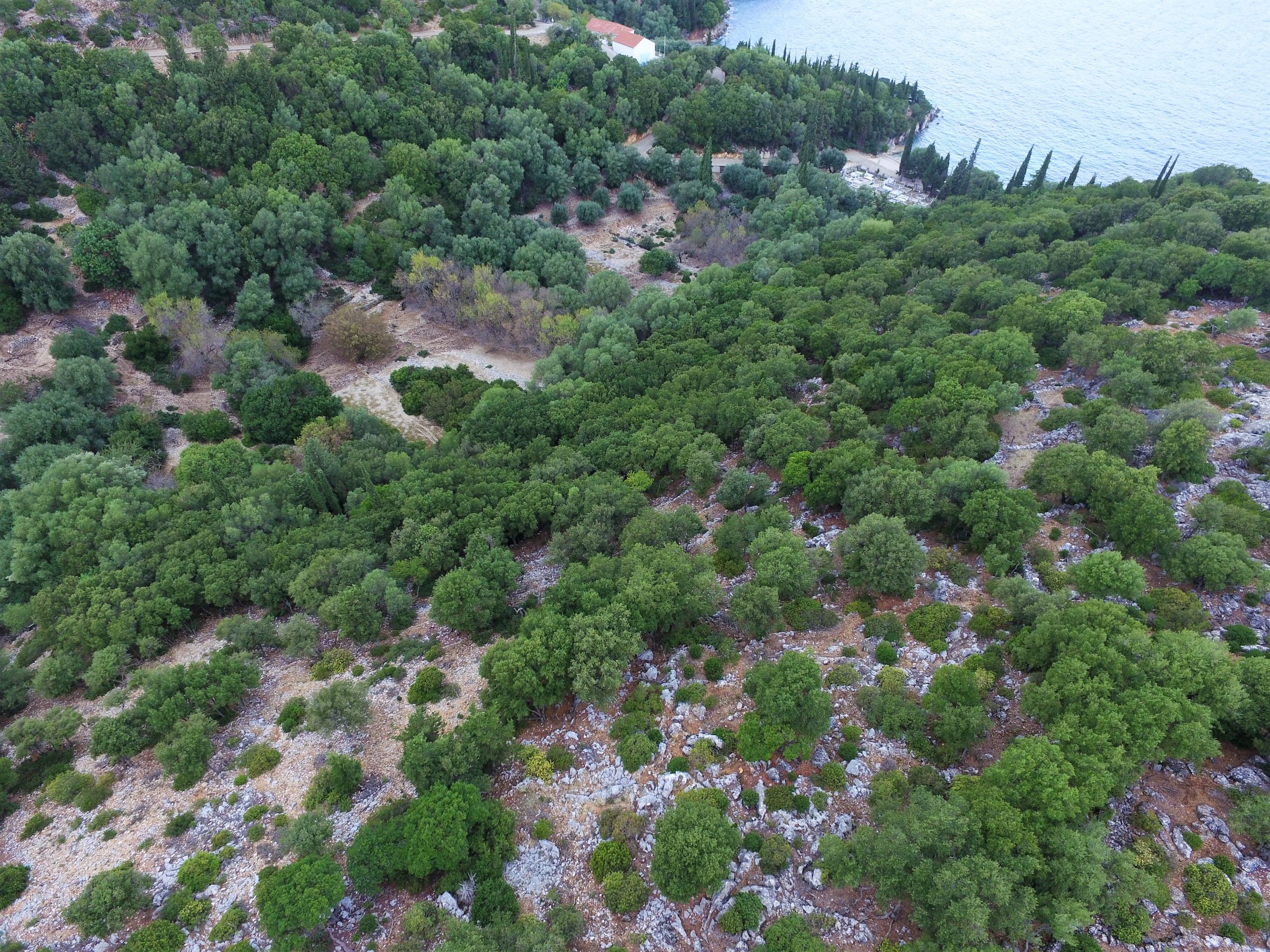 Aerial view of border of land for sale in Ithaca Greece