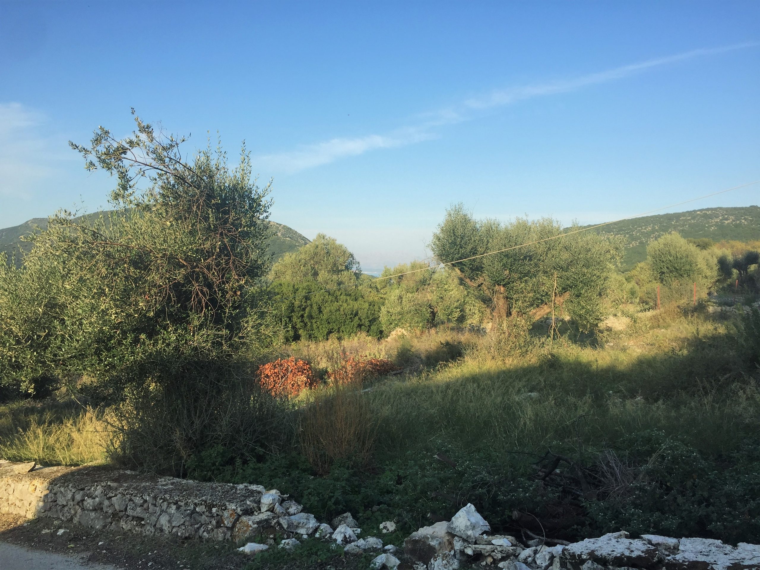 Landscape terrain of land for sale Ithaca Greece Stavros