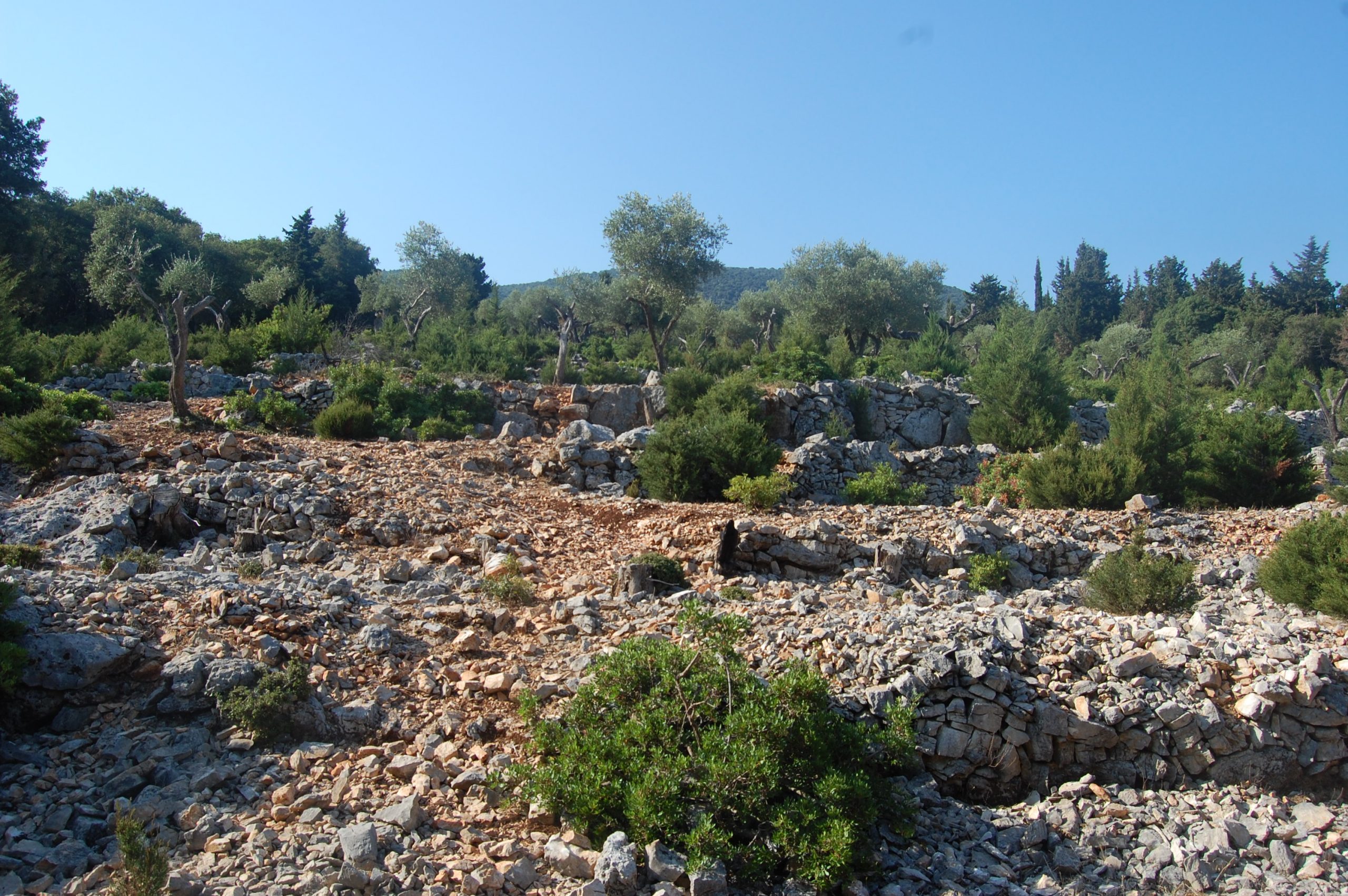 Τοπίο και έδαφος και θέα στη θάλασσα της γης προς πώληση Ιθάκη Ελλάδα