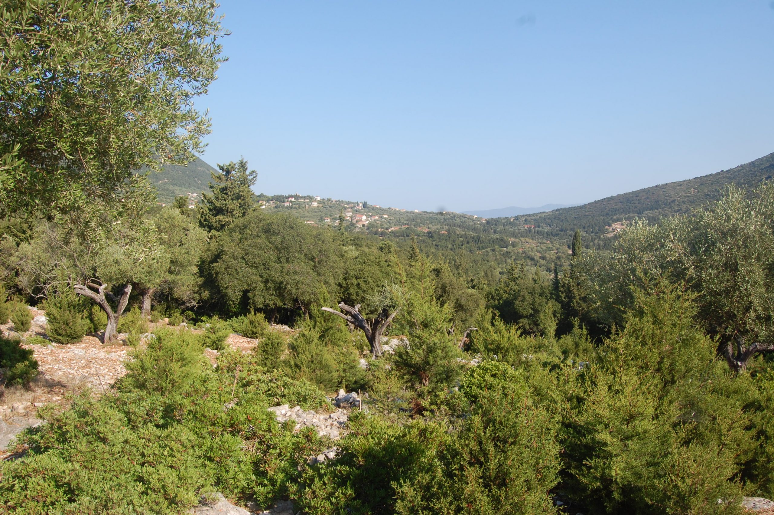 Landscape and terrain and sea view of land for sale Ithaca Greece