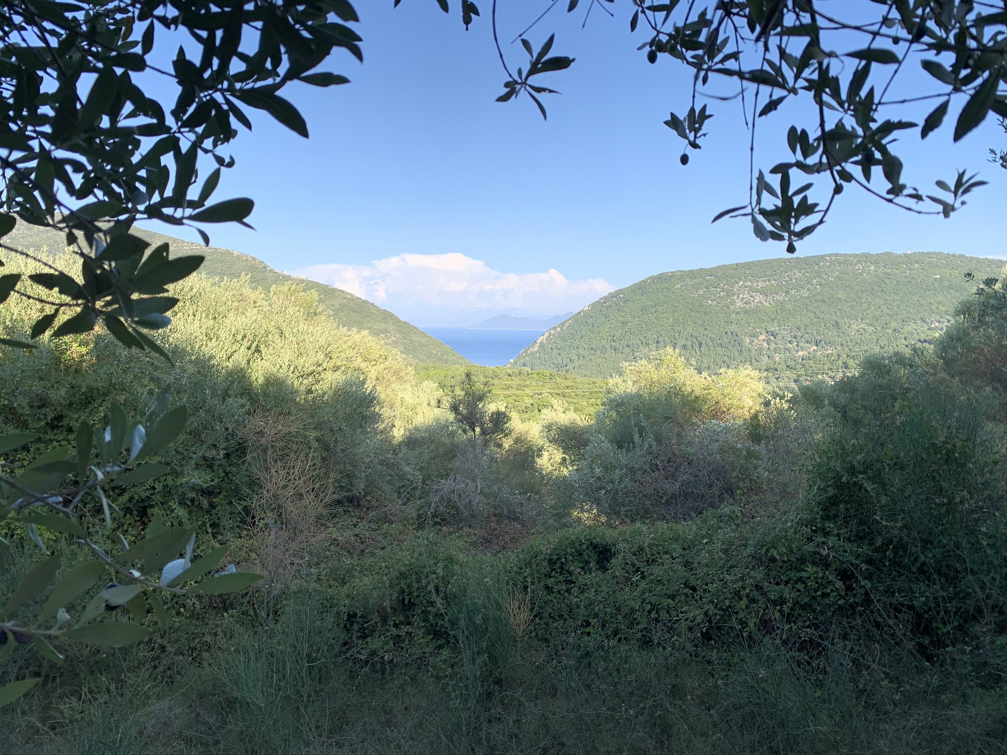 Landscape terrain of land for sale Ithaca Greece, Pilikata