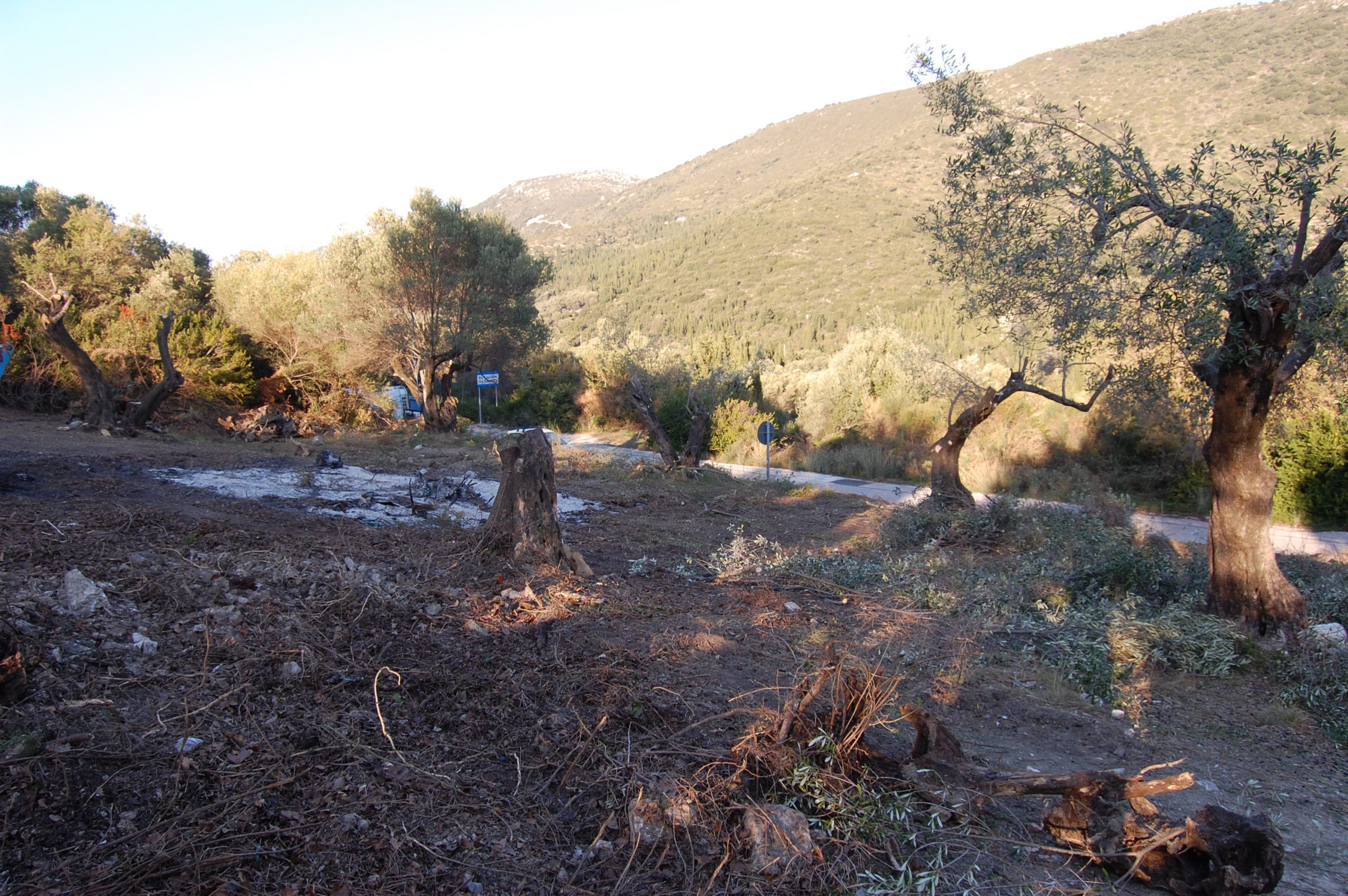 Τοπίο έδαφος εκκαθαρίζονται από γη προς πώληση Ιθάκη Ελλάδα, Αγ. Σαράντα