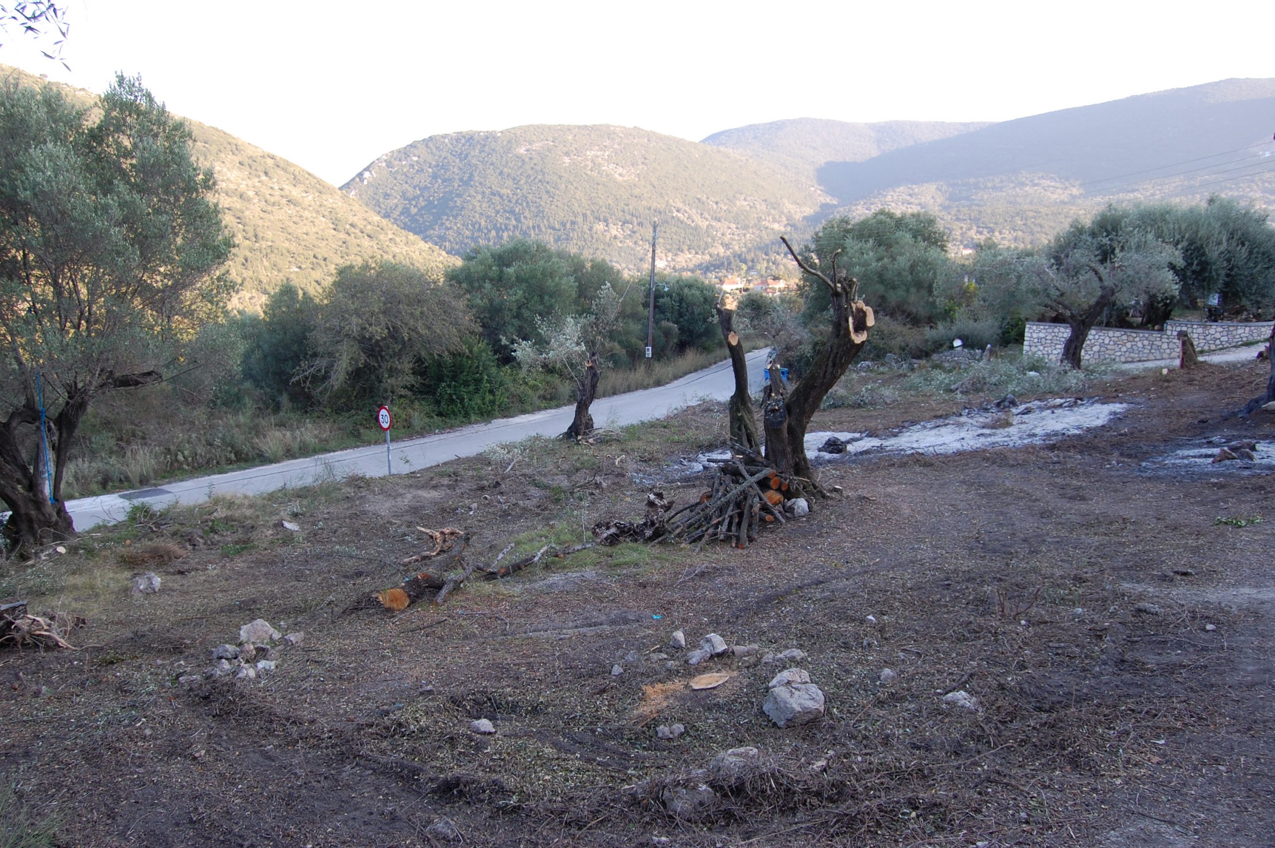 Τοπίο έδαφος εκκαθαρίζονται από γη προς πώληση Ιθάκη Ελλάδα, Αγ. Σαράντα