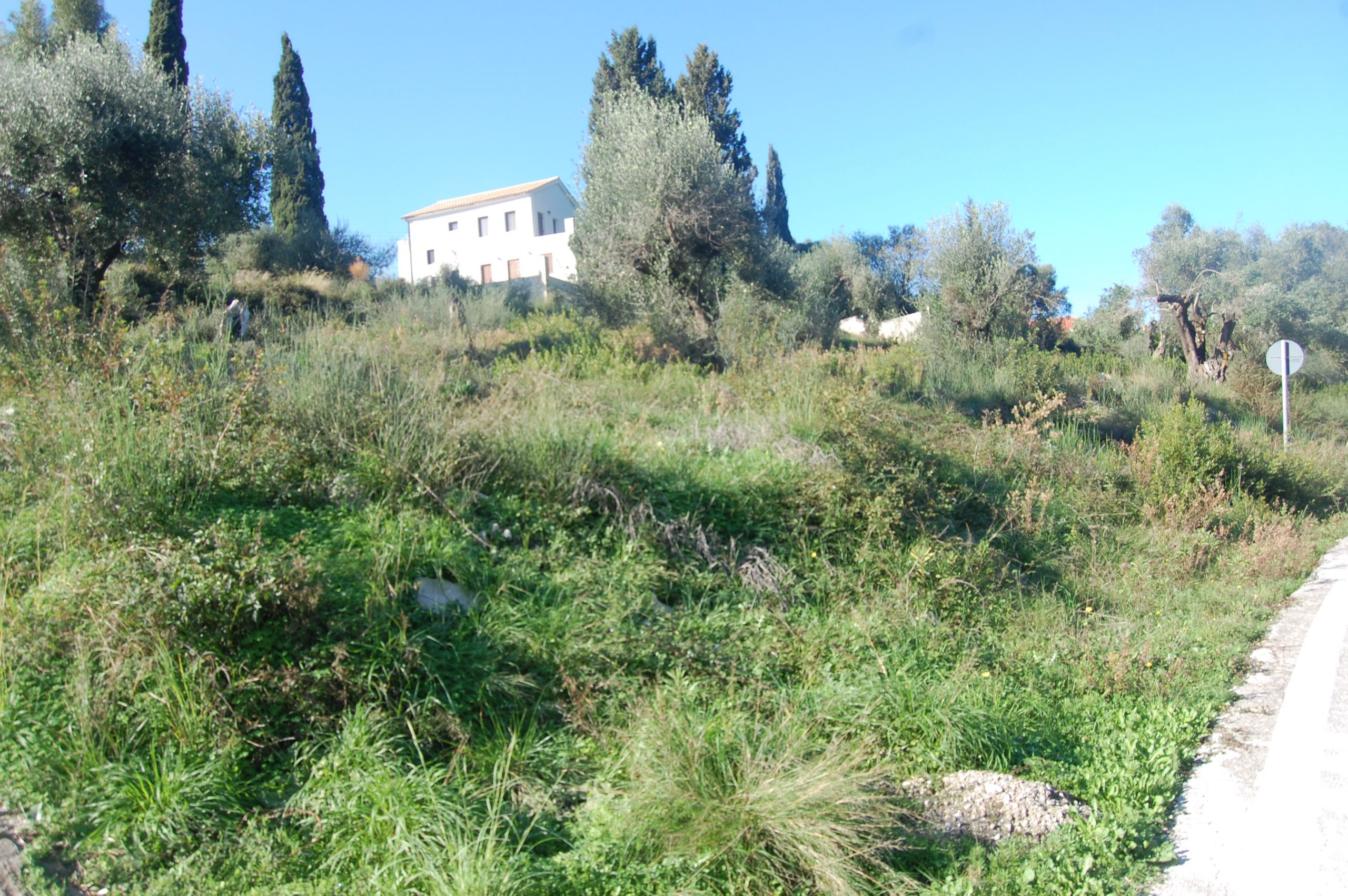 Landscape terrain of land for sale Ithaca Greece, Ag. Saranda
