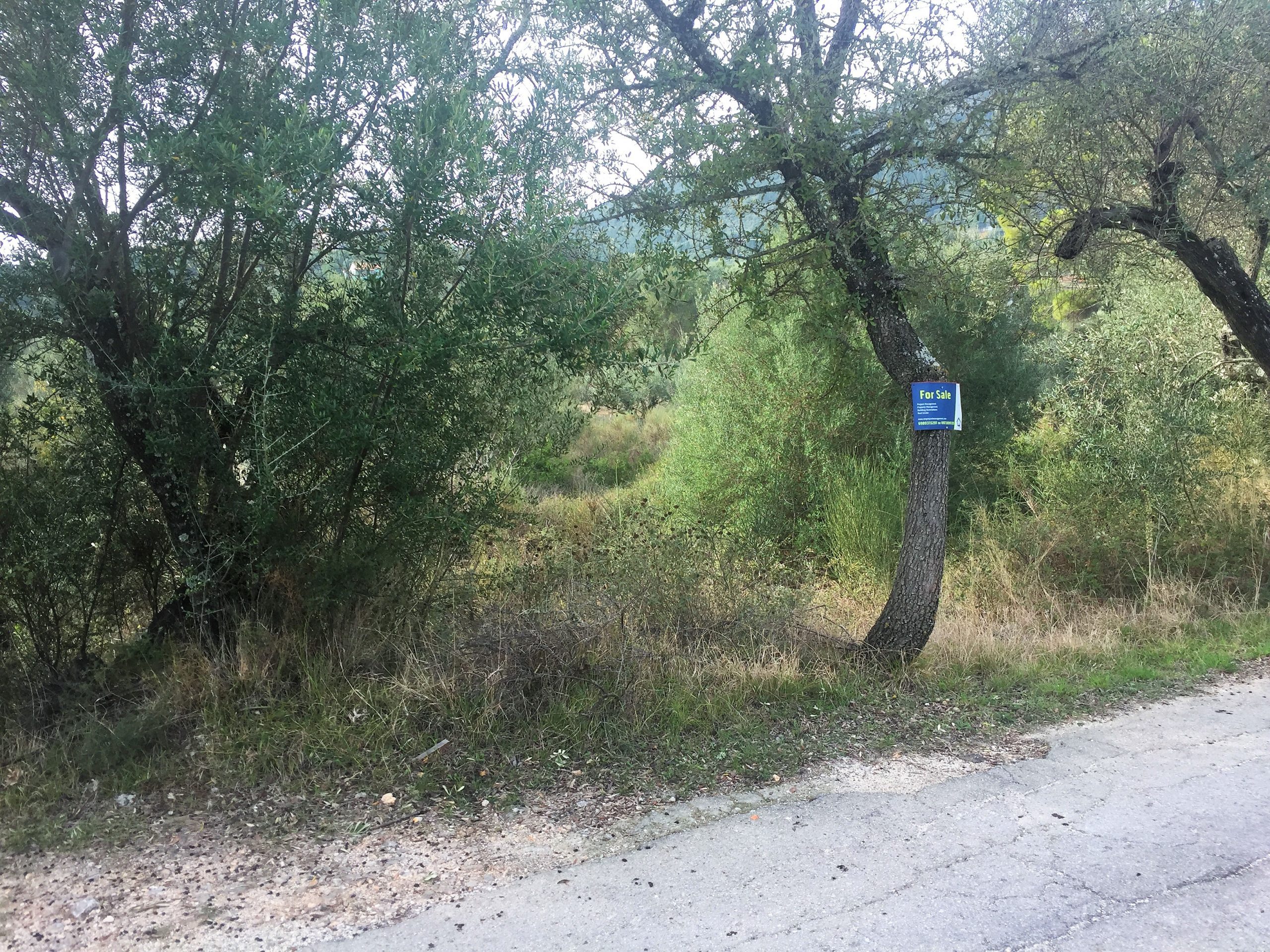 Landscape view of property for sale in Ithaca Greece Lahos