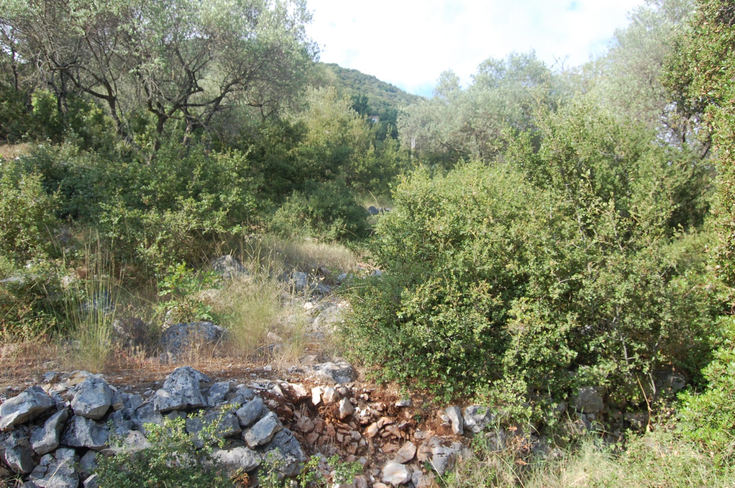 Exterior view of land for sale in Ithaca Greece
