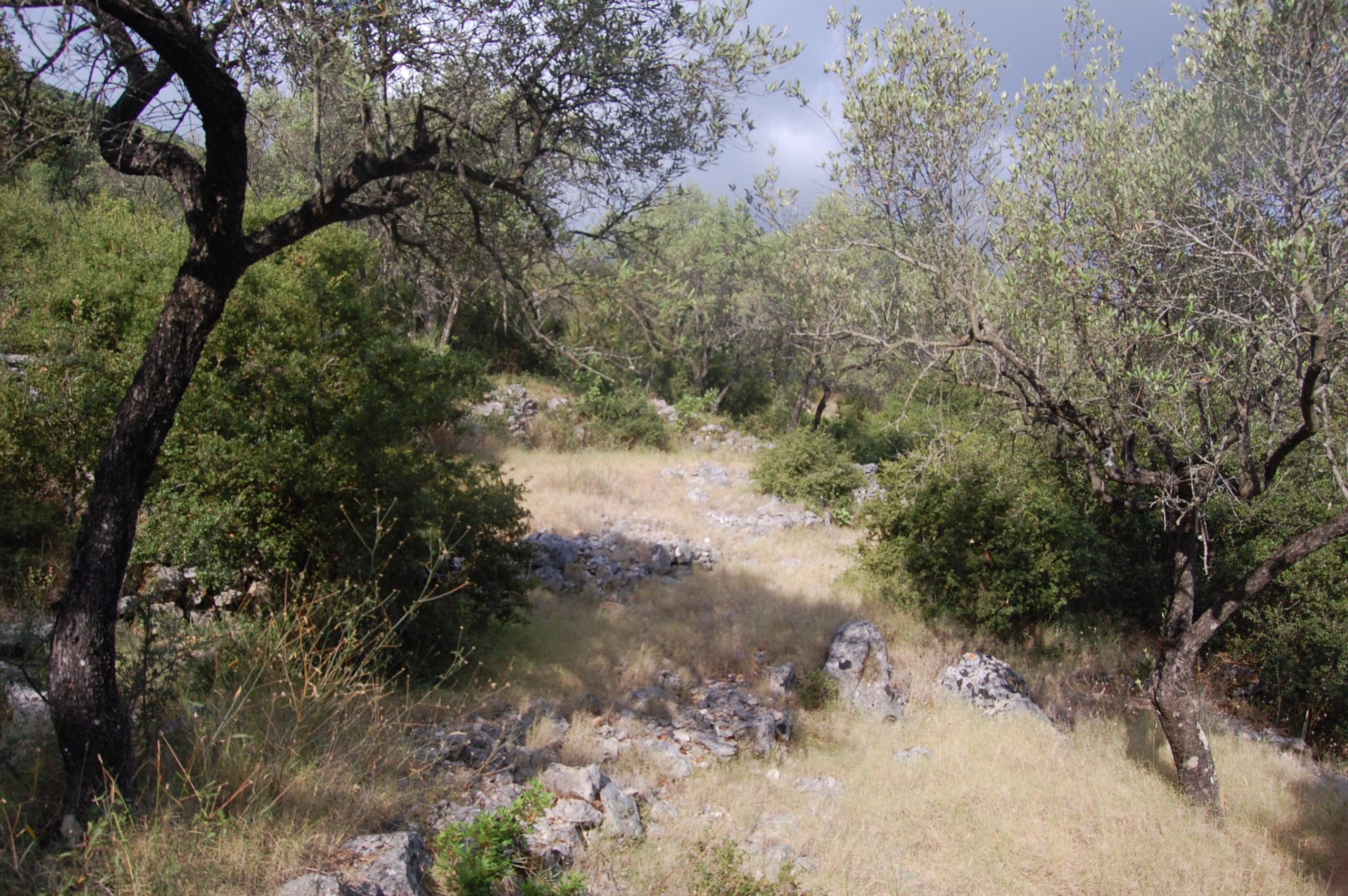 Exterior view of land for sale in Ithaca Greece