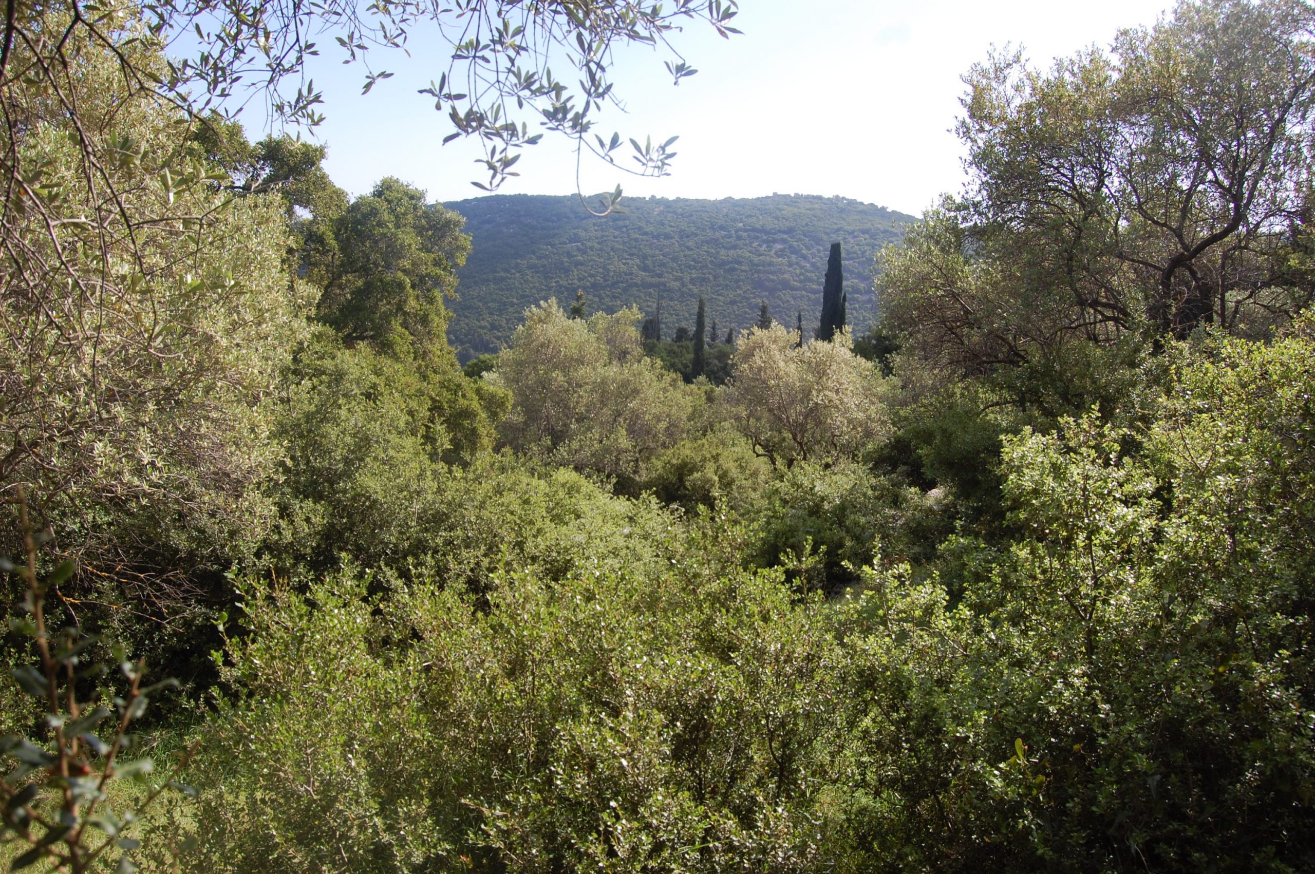 Exterior view of land for sale in Ithaca Greece