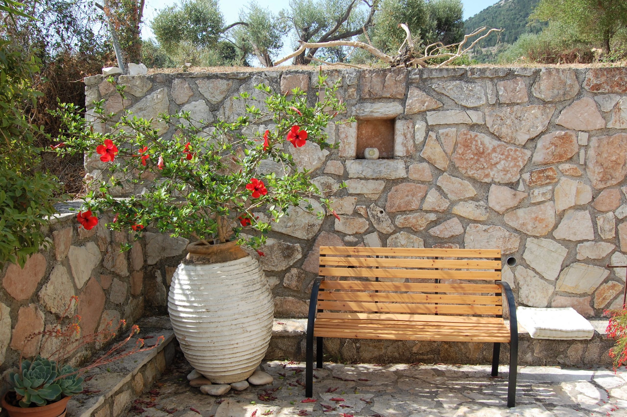 Outside area of Afales View for rent in Ithaca Greece, Kolleri