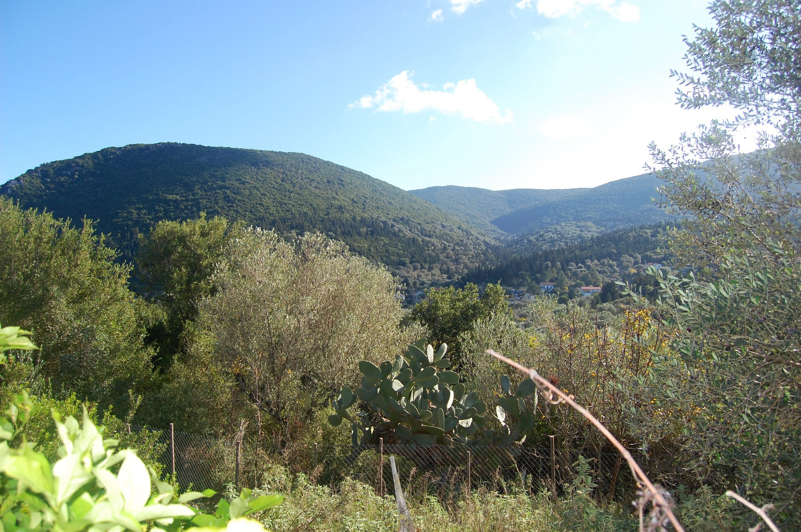 View of house for sale in Ithaca Greece, Lahos
