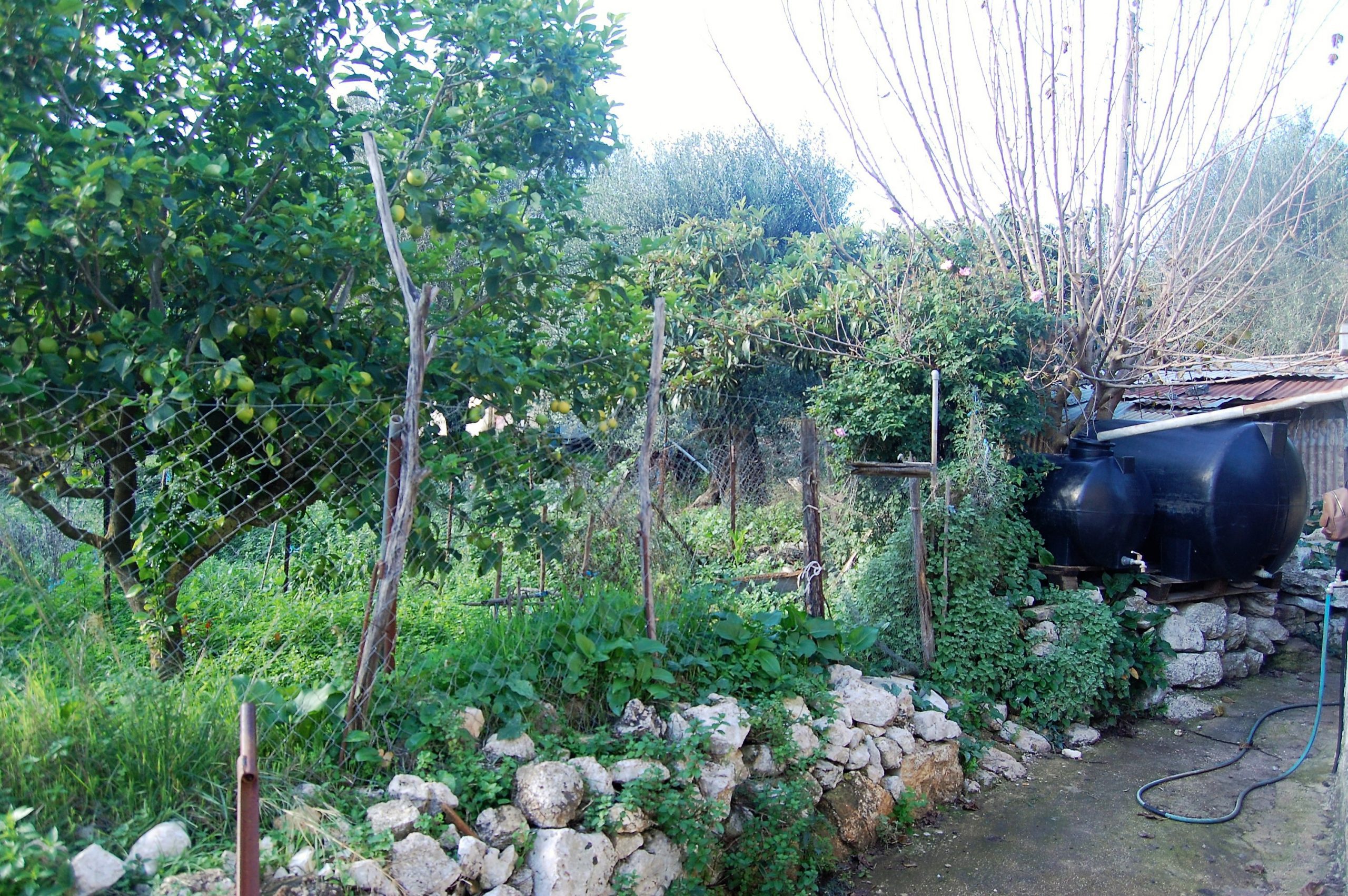 Κήπος κατοικίας προς πώληση στην Ιφάκα, Λαχός