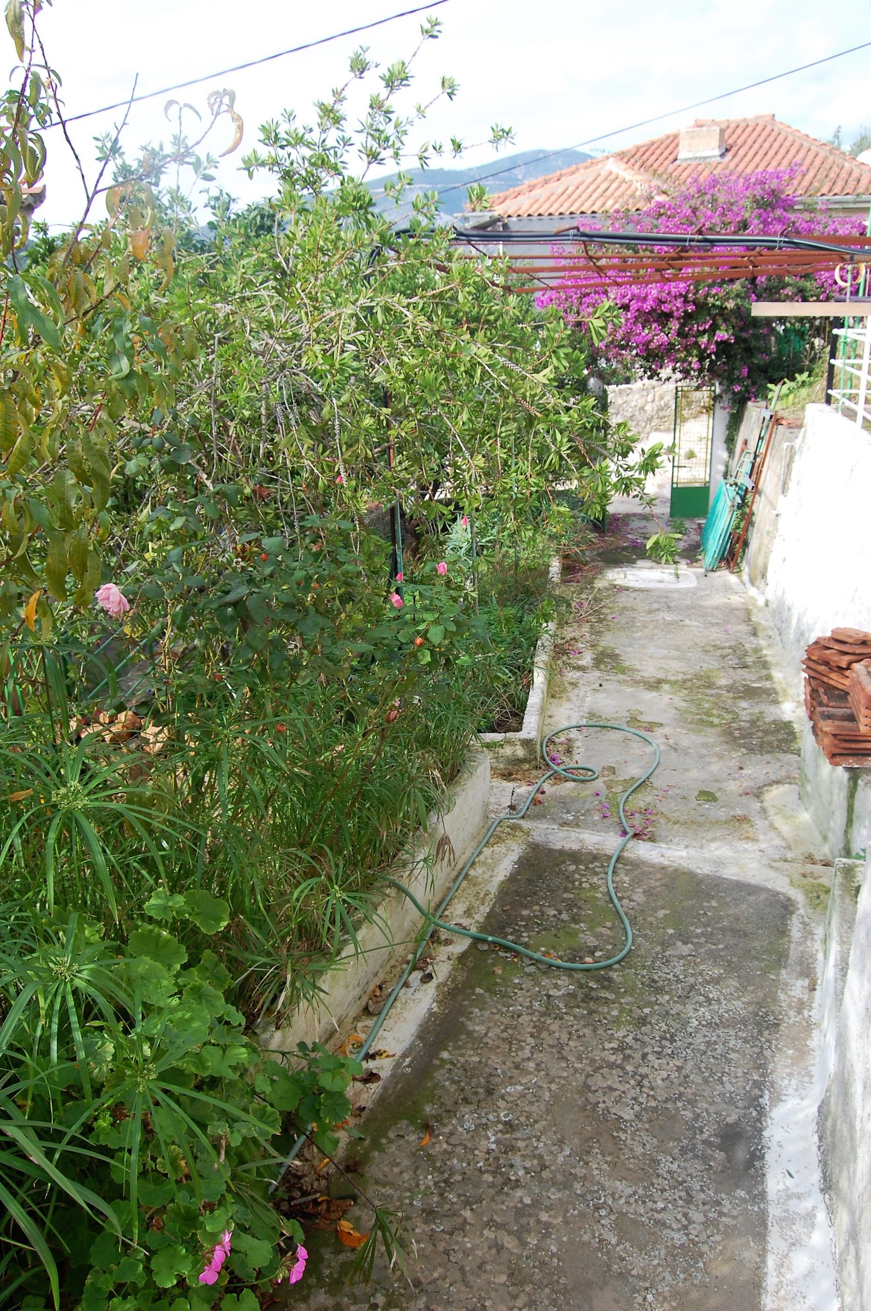 Outside terrace and garden of house for sale in Ithaca Greece, Vathi