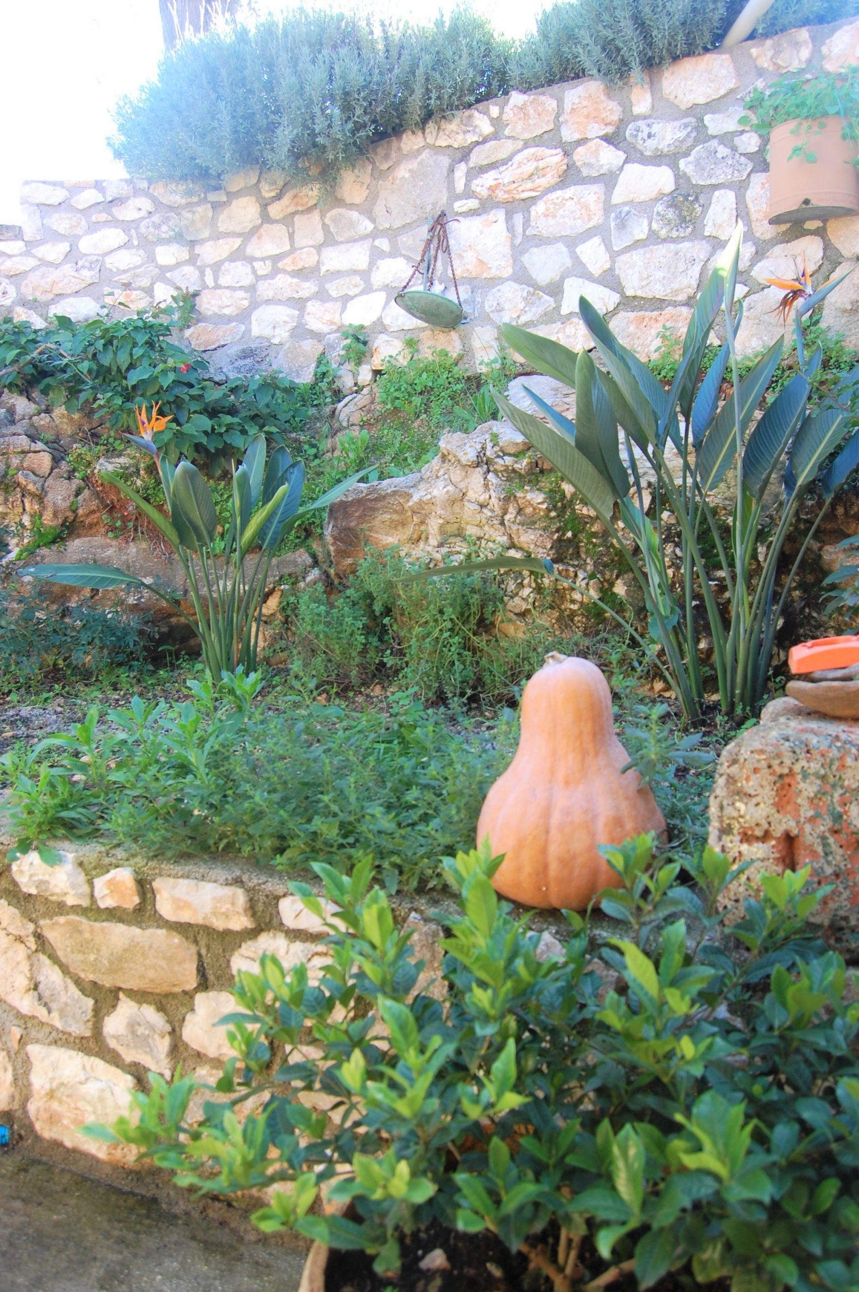 Stone courtyard of house for sale in Ithaca Greece Stavros