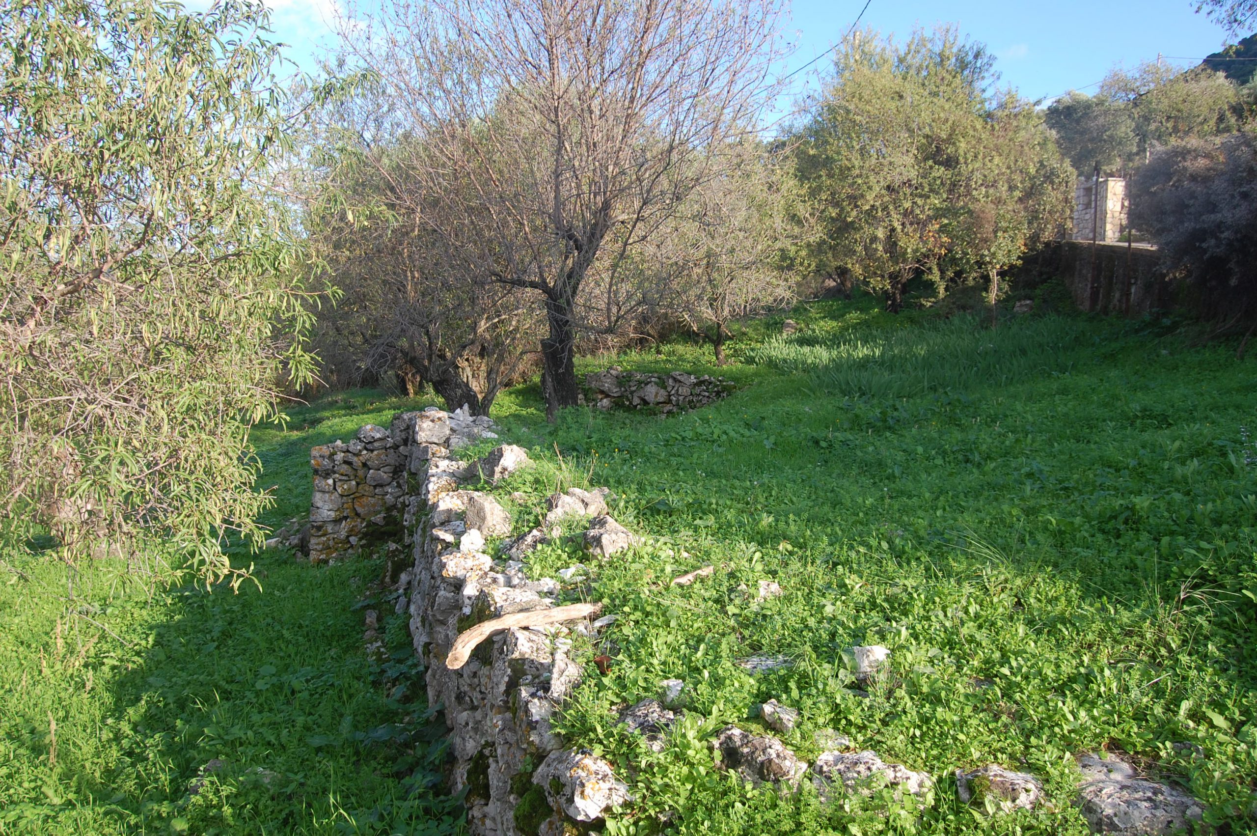 Terrain of landscape of land for sale Ithaca Greece Stavros