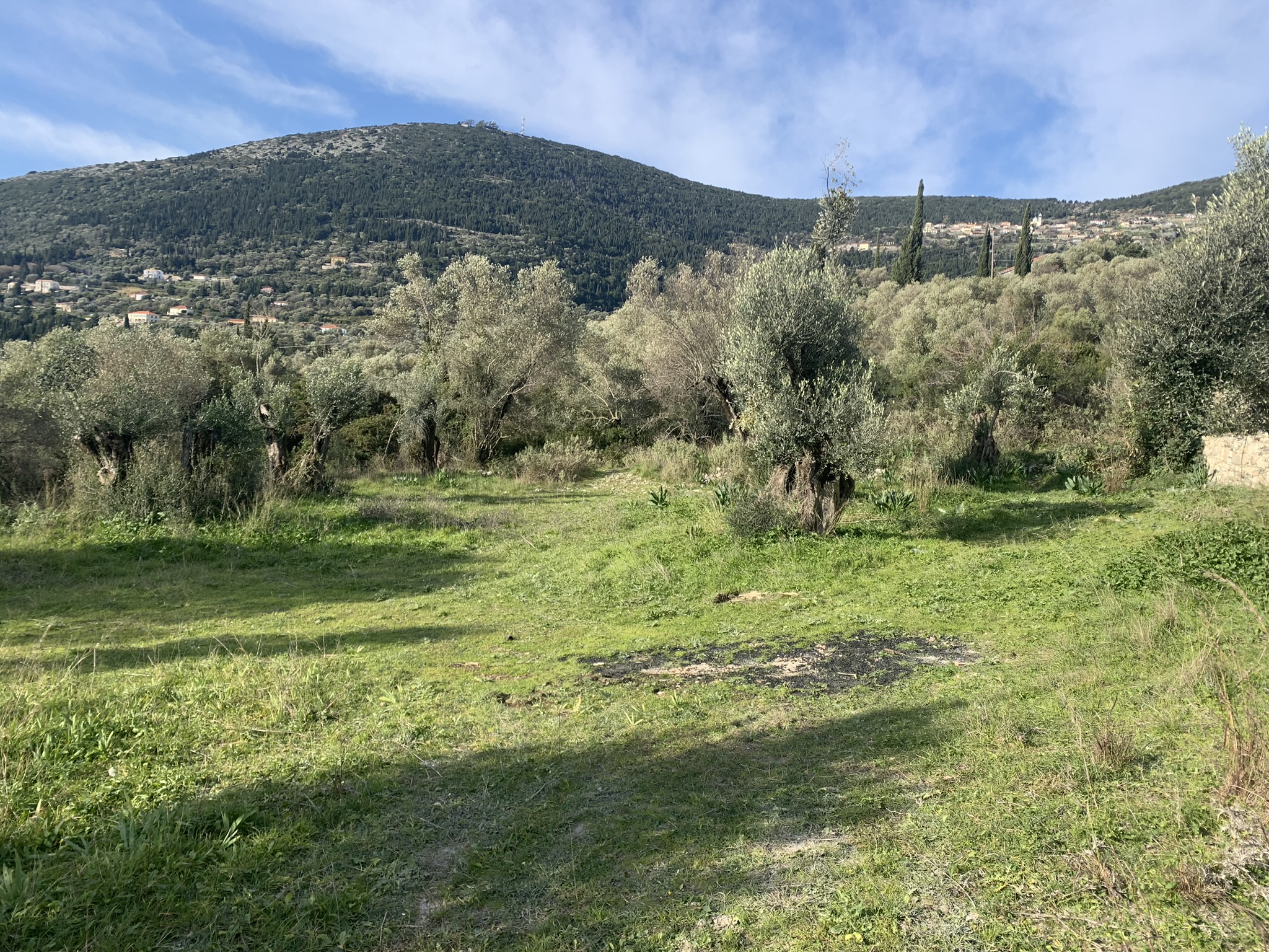 Terrain and landscape of land for sale Ithaca Greece Lahos