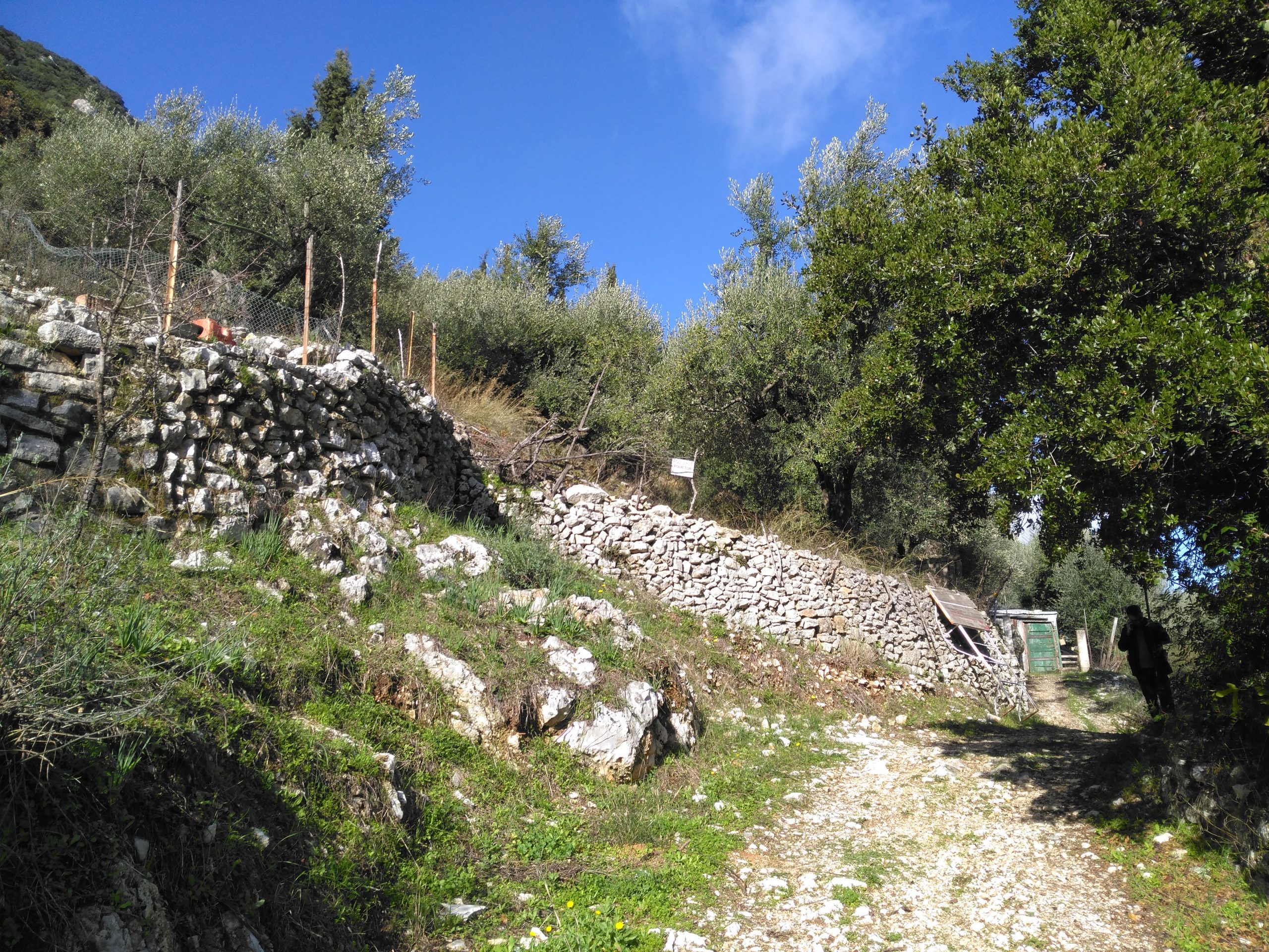 Landscape terrain of land for sale Ithaca Greece Perachori