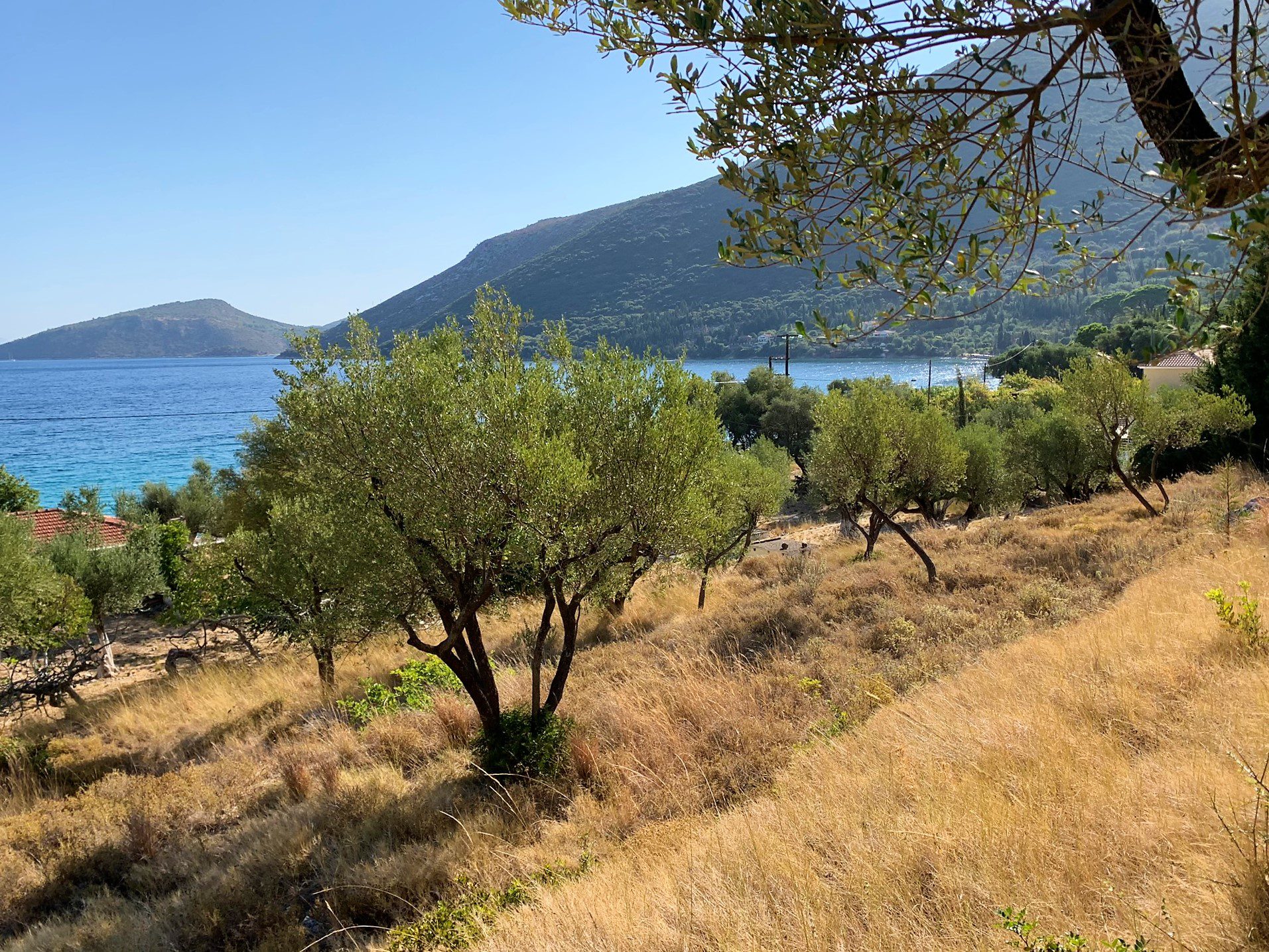 Τοπίο έδαφος της γης προς πώληση Ιθάκη Ελλάδα Brosta Αέτος