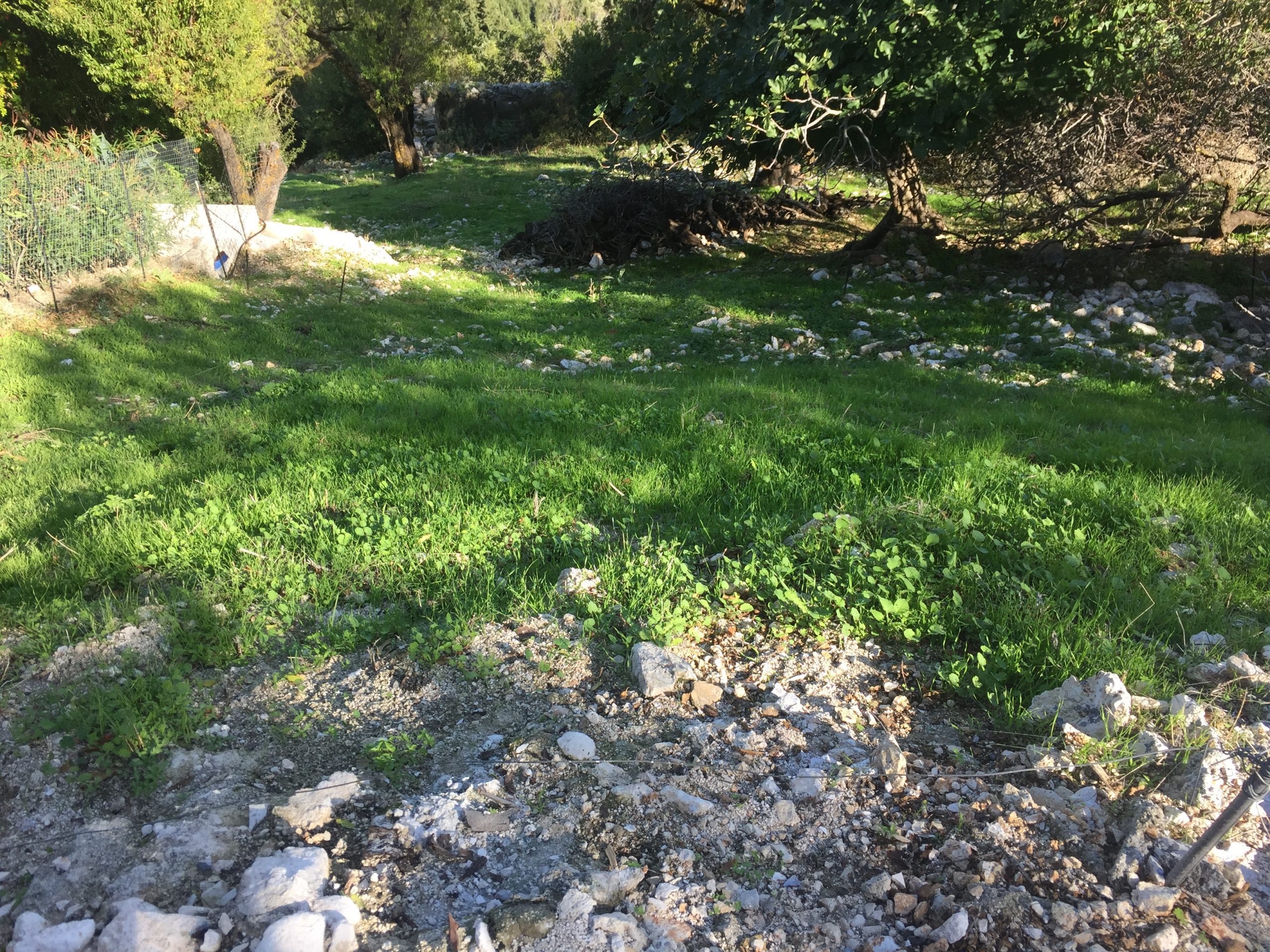 Landscape terrain of land for sale Ithaca Greece Exoghi
