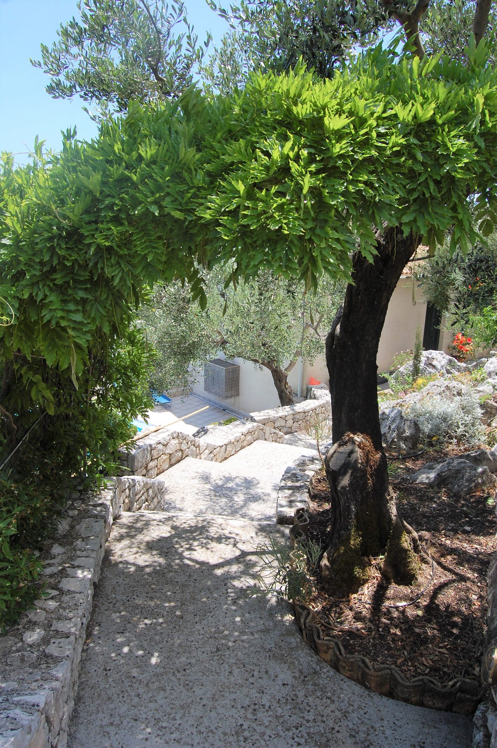 Stone pathway of house for sale Ithaca Greece