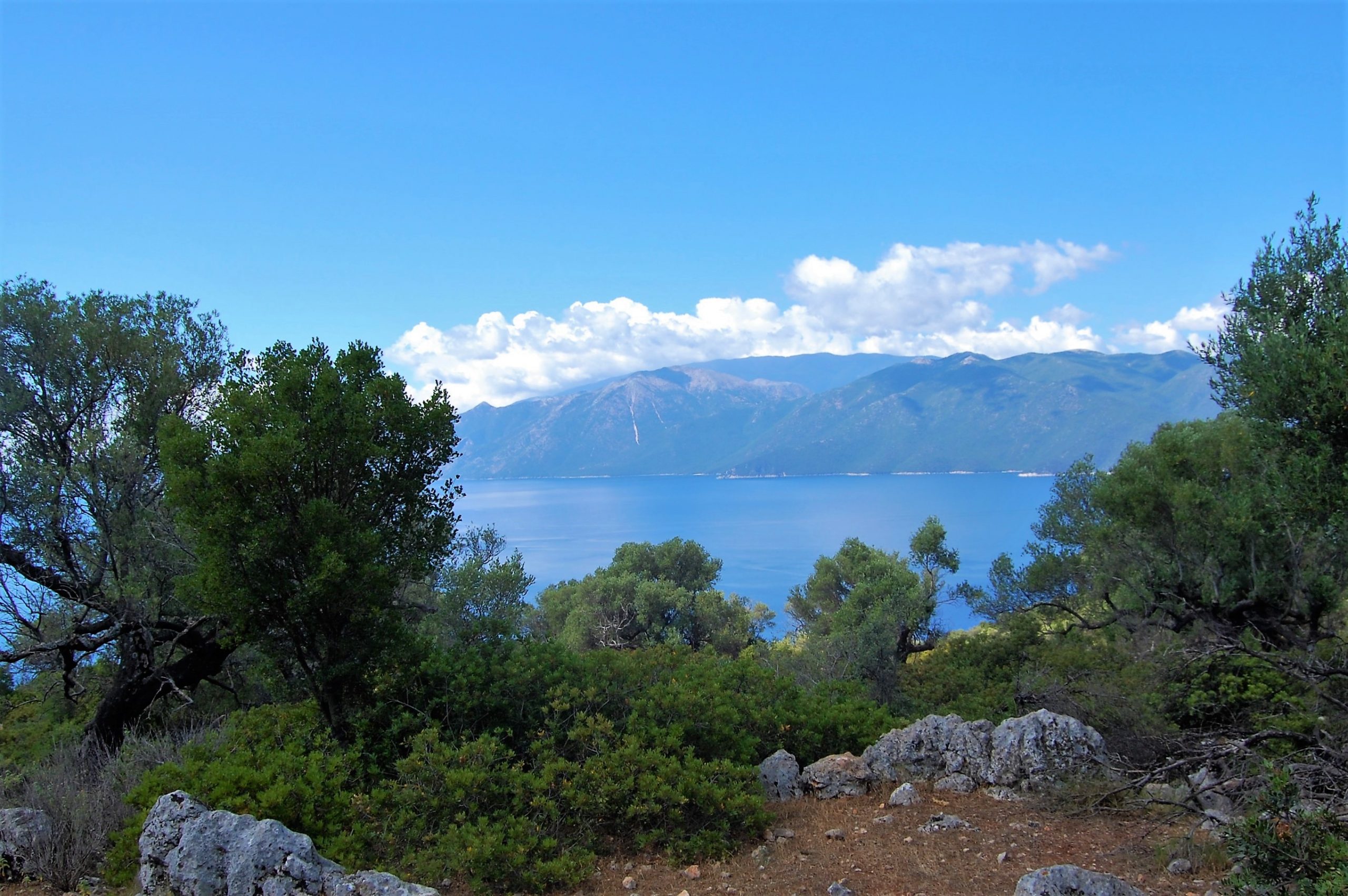 Sea view and mountain landscape of land for sale Ithaca Greece