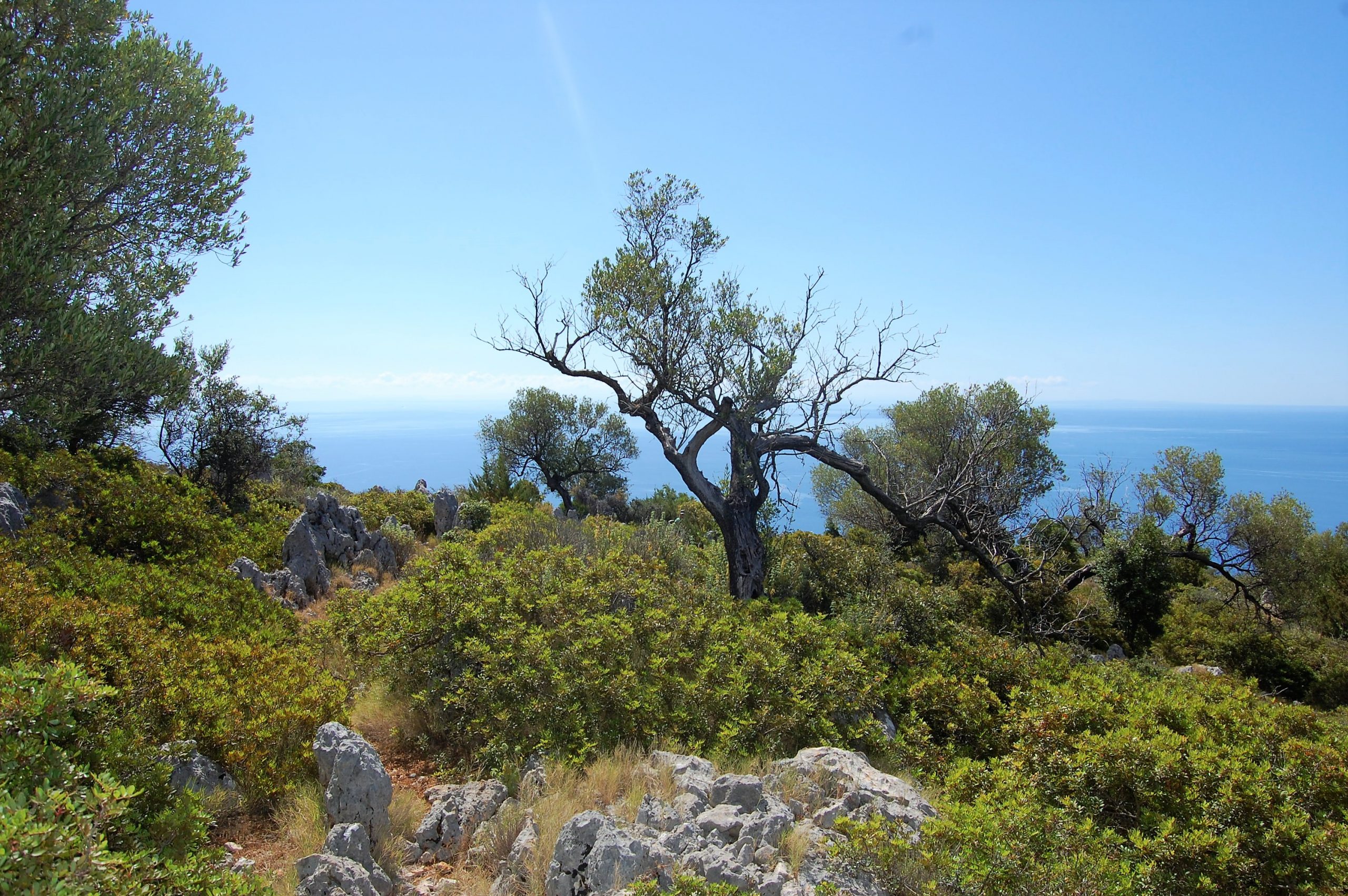 Mountain landscape of land for sale Ithaca Greece