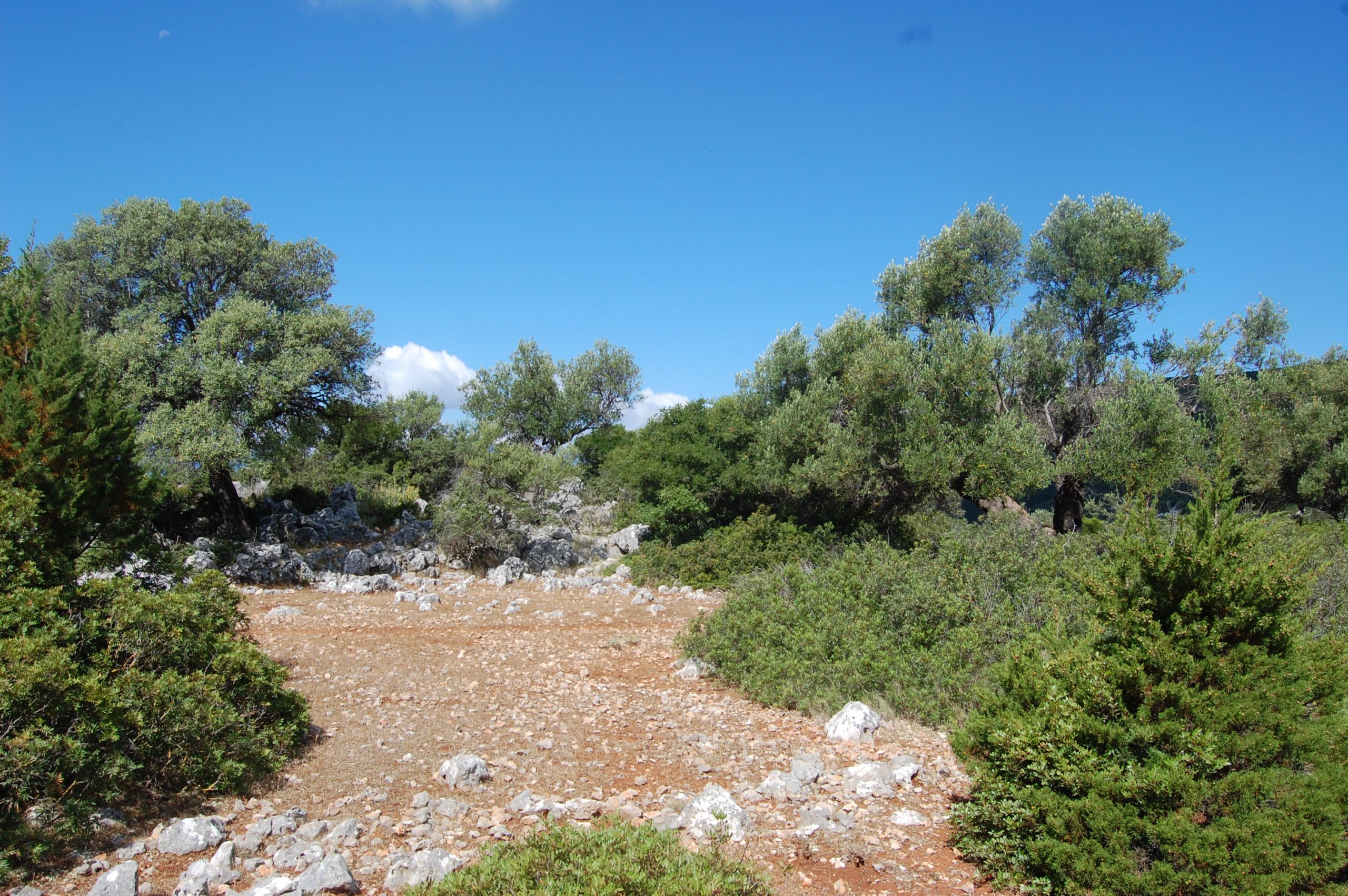 Flat rocky terrain of land for sale Ithaca Greece