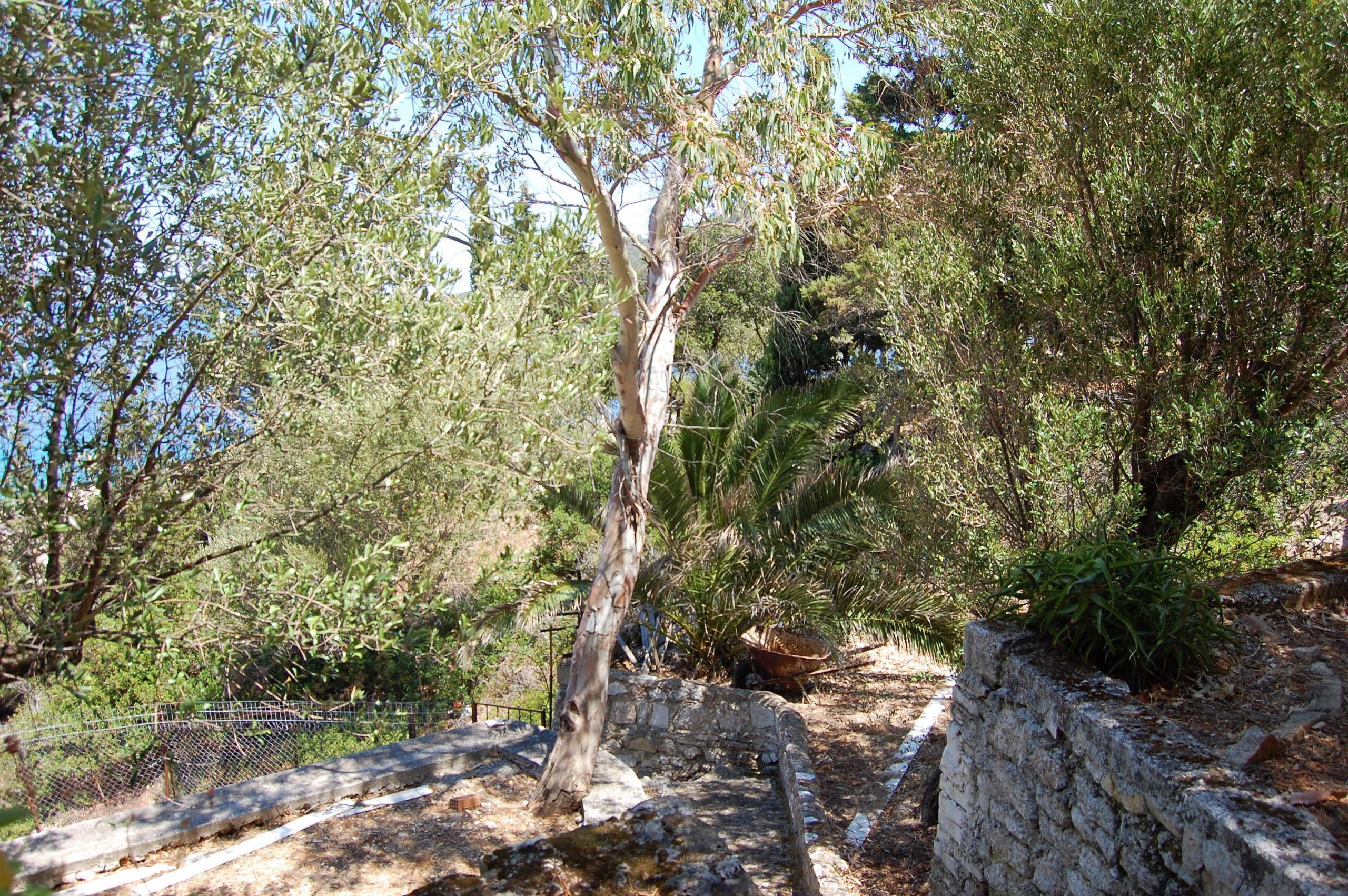 Exterior and terrace of coastal house for sale in Ithaca Greece Vathi