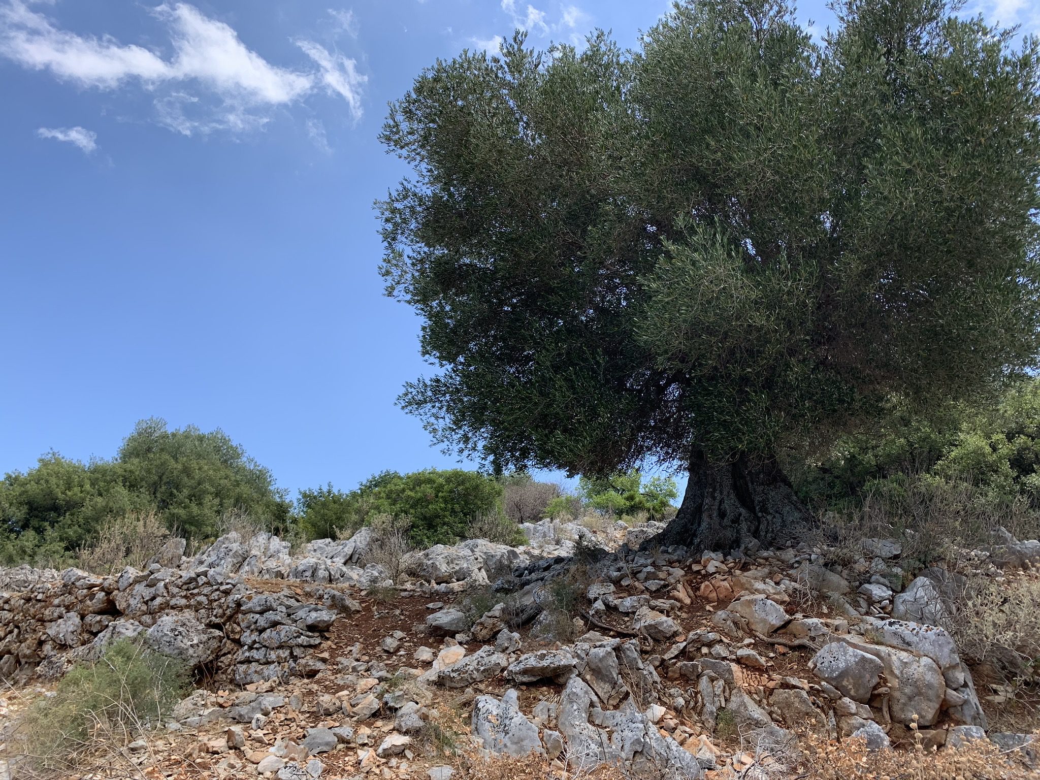 Landscape and terrain of property for sale in Ithaca Greece Perachori
