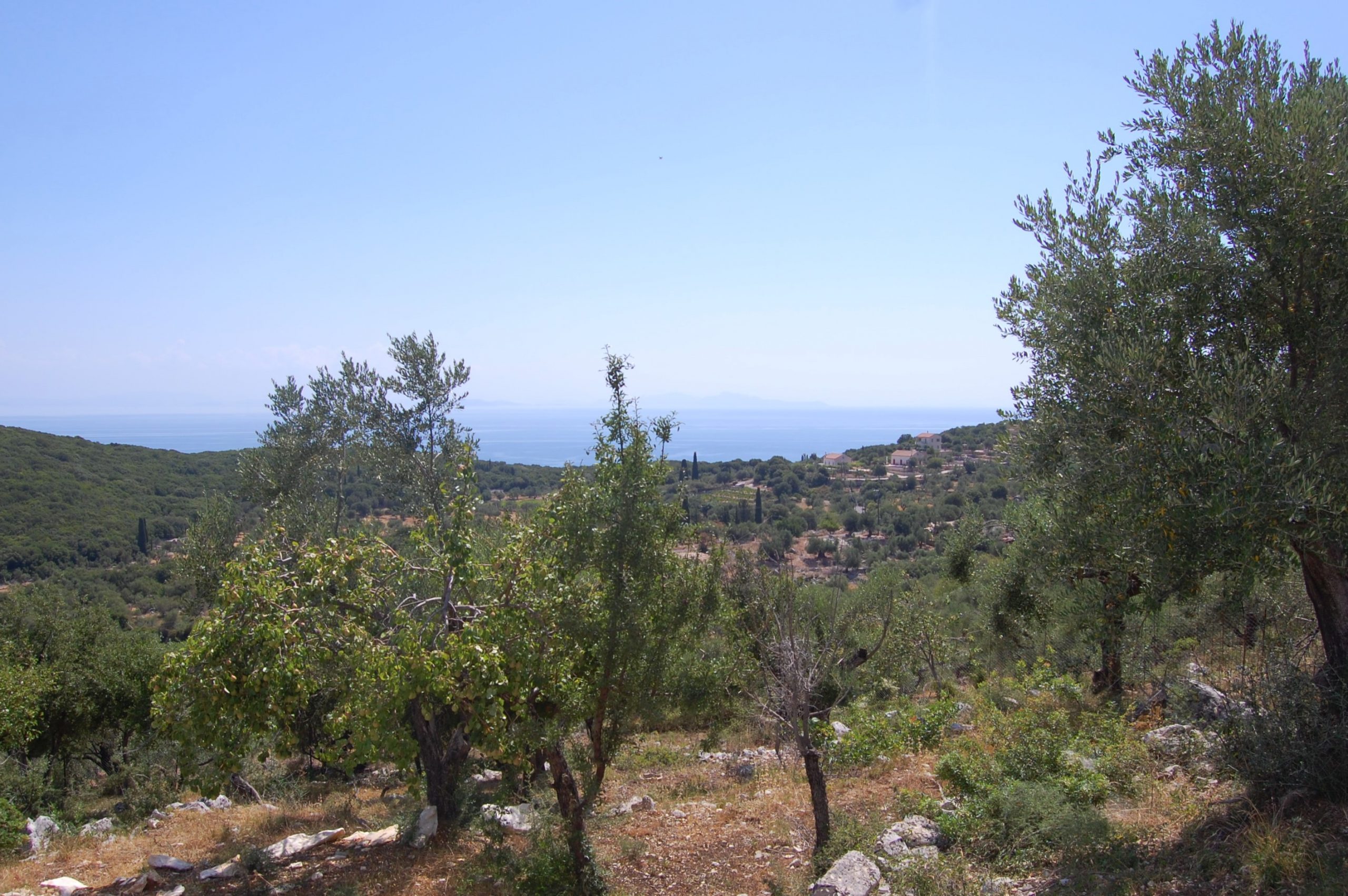 Landscape and terrain of property for sale in Ithaca Greece Vathi