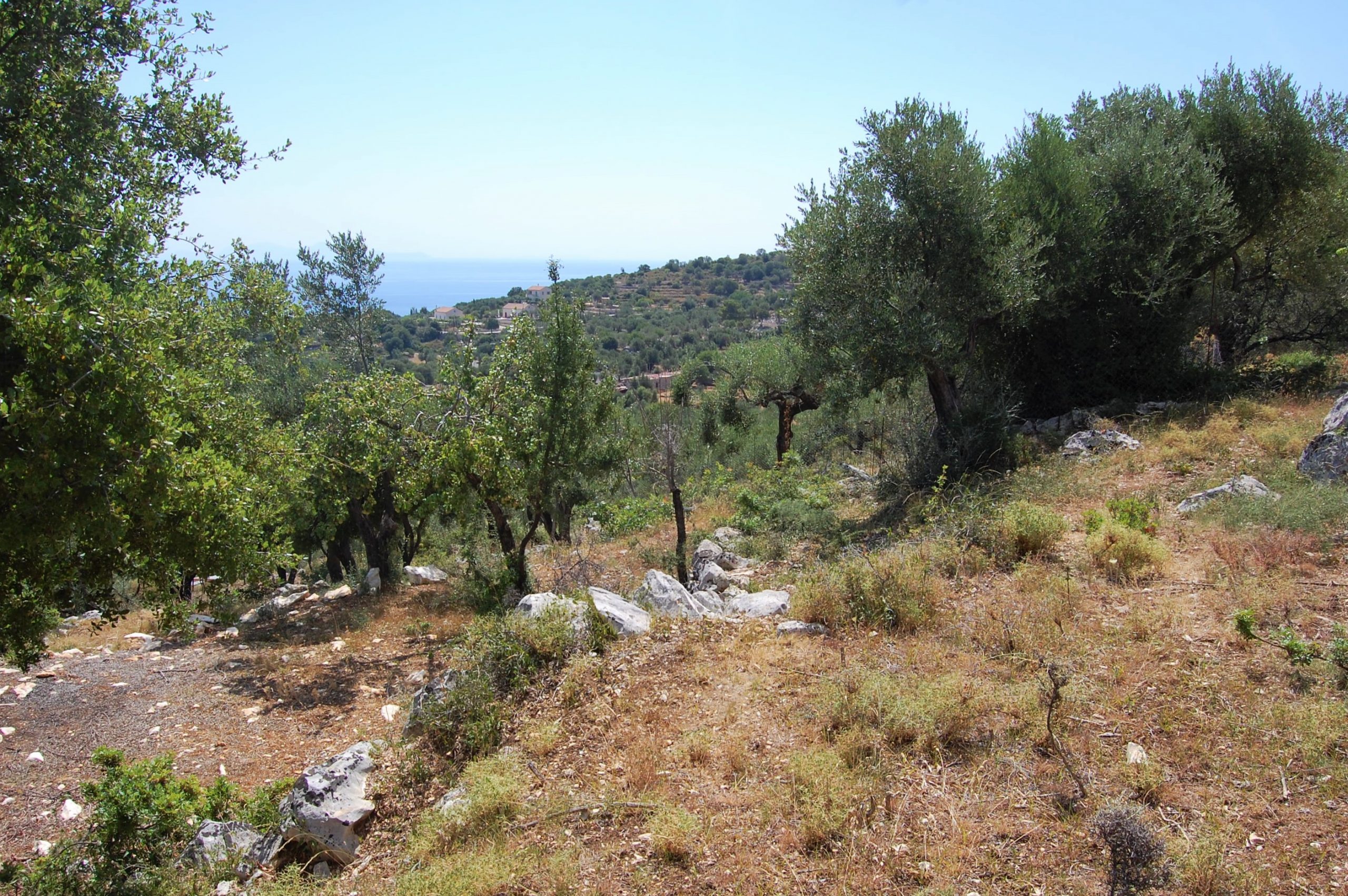 Τοπίο και έδαφος του ακινήτου προς πώληση στην Ιθάκη Ελλάδα Βαθύ