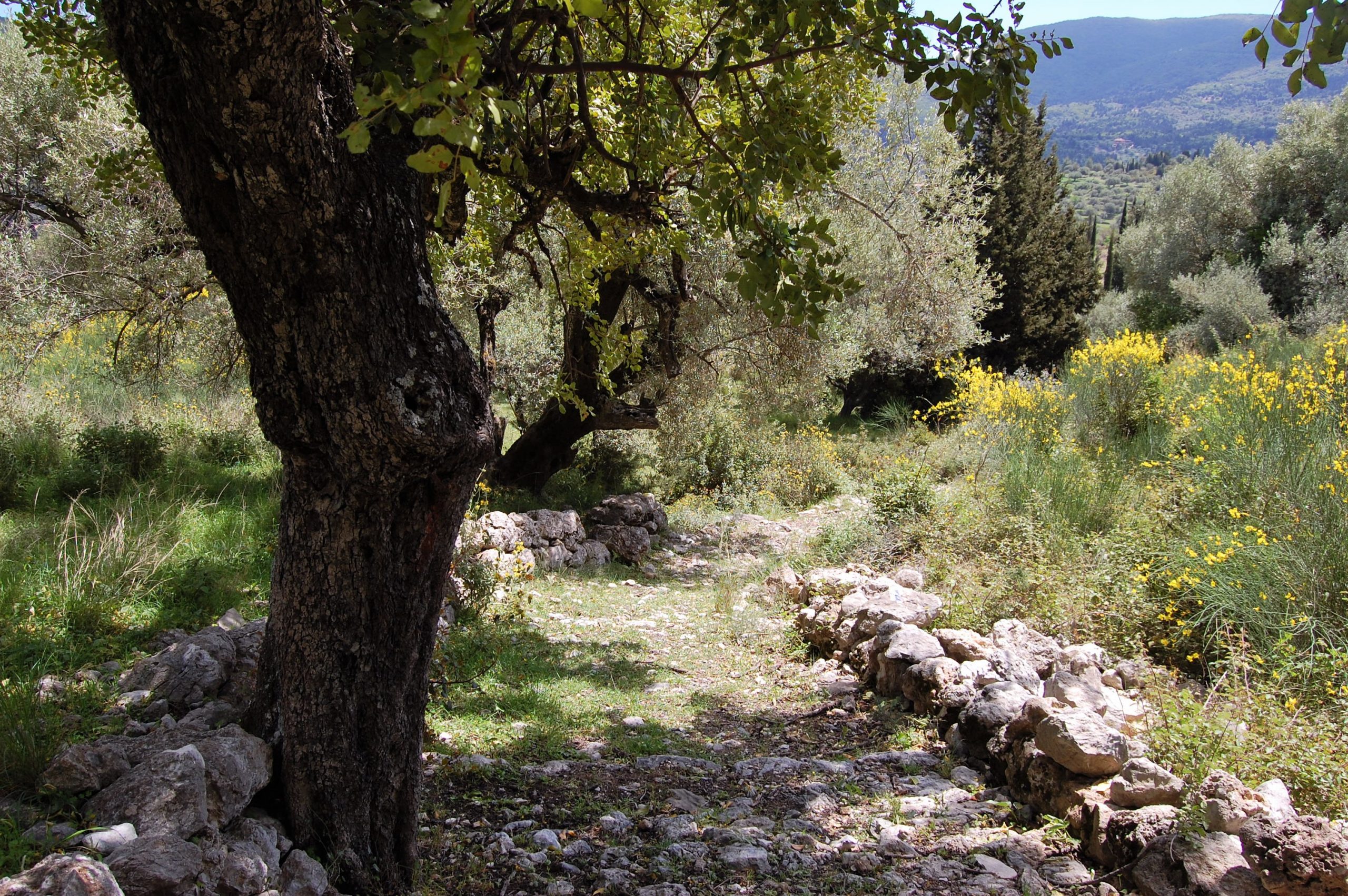 Land sold in Ithaca Greece