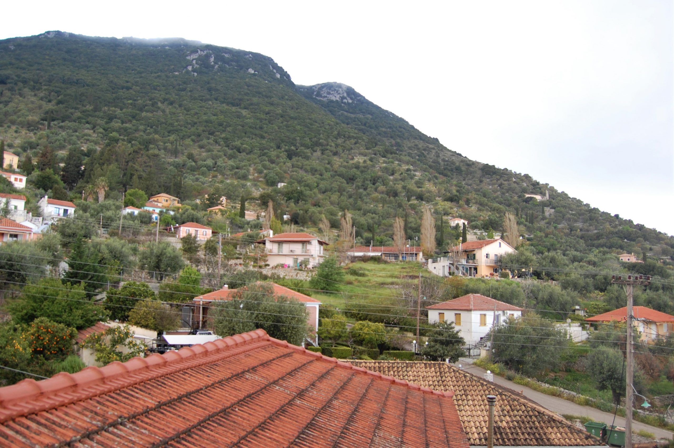 Back garden of house for sale in Ithaca Greece, Perachori