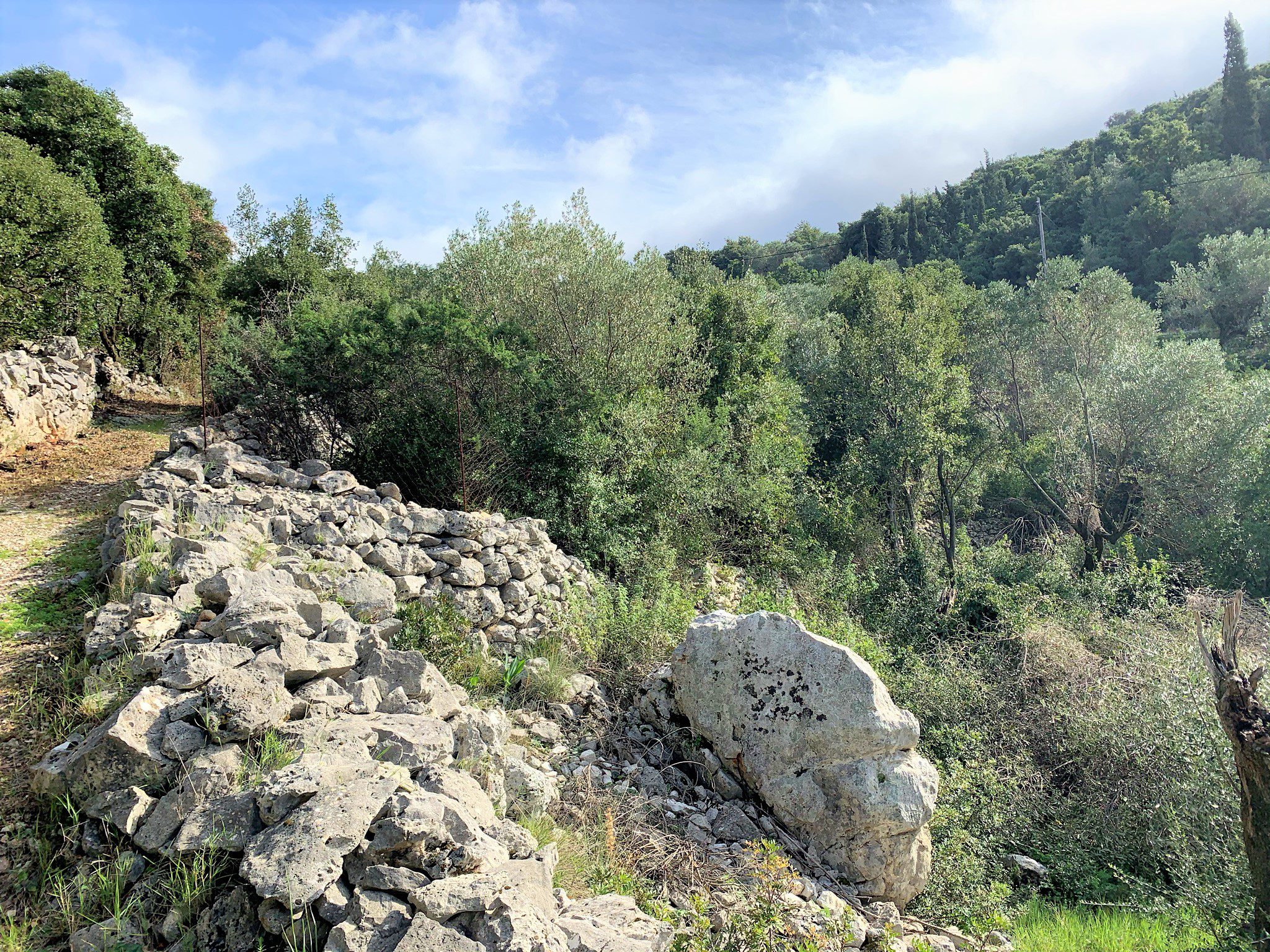 Terrain of land for sale in Ithaca Greece, Dexa/Vathi