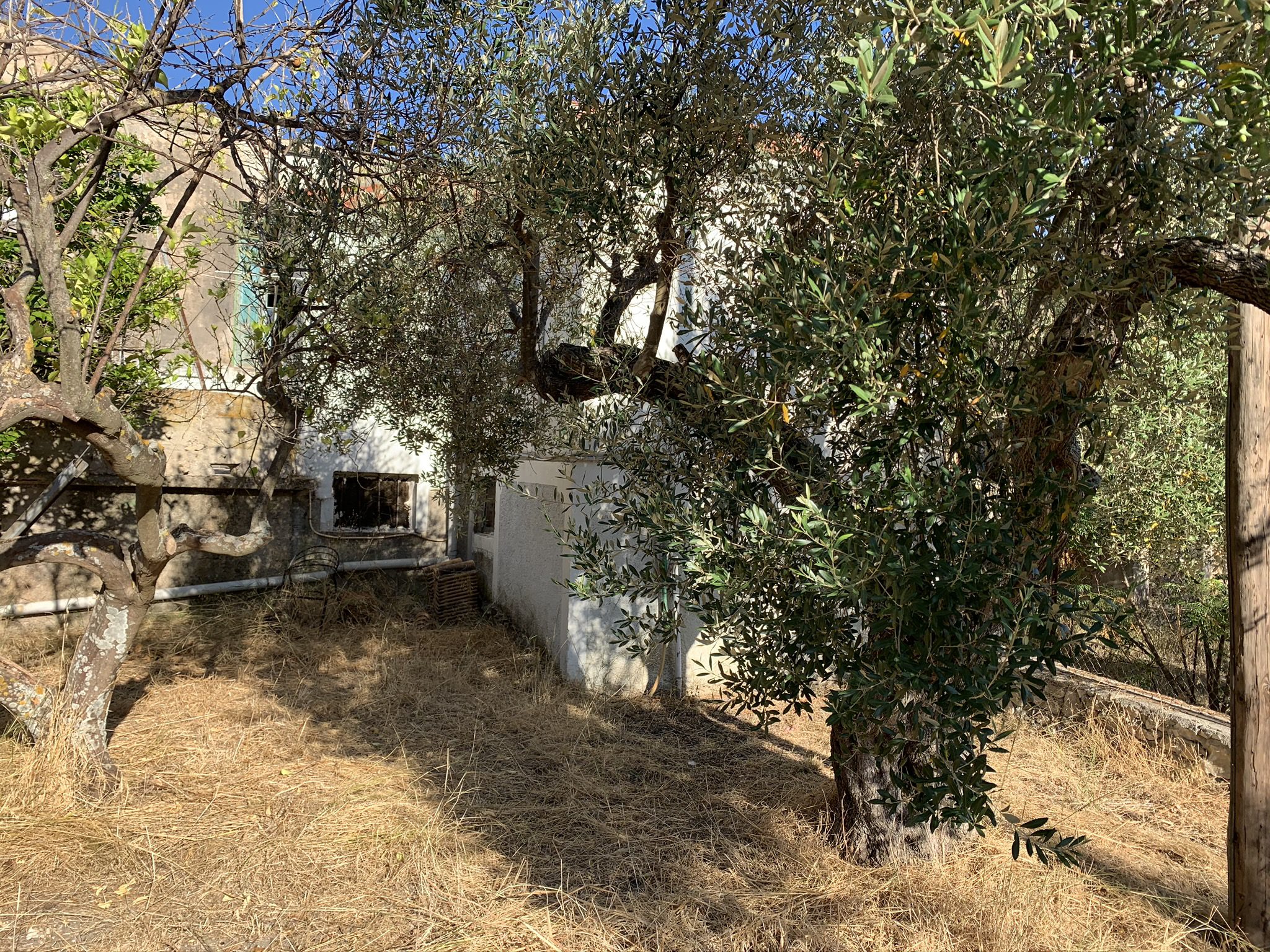 Front garden of house for sale in Ithaca Greece, Stavros