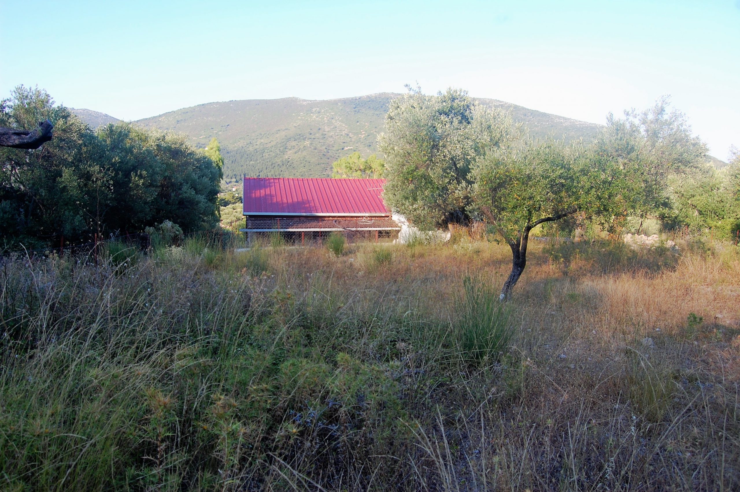 Terraced landscape of house for sale in Ithaca Greece, Kolleri