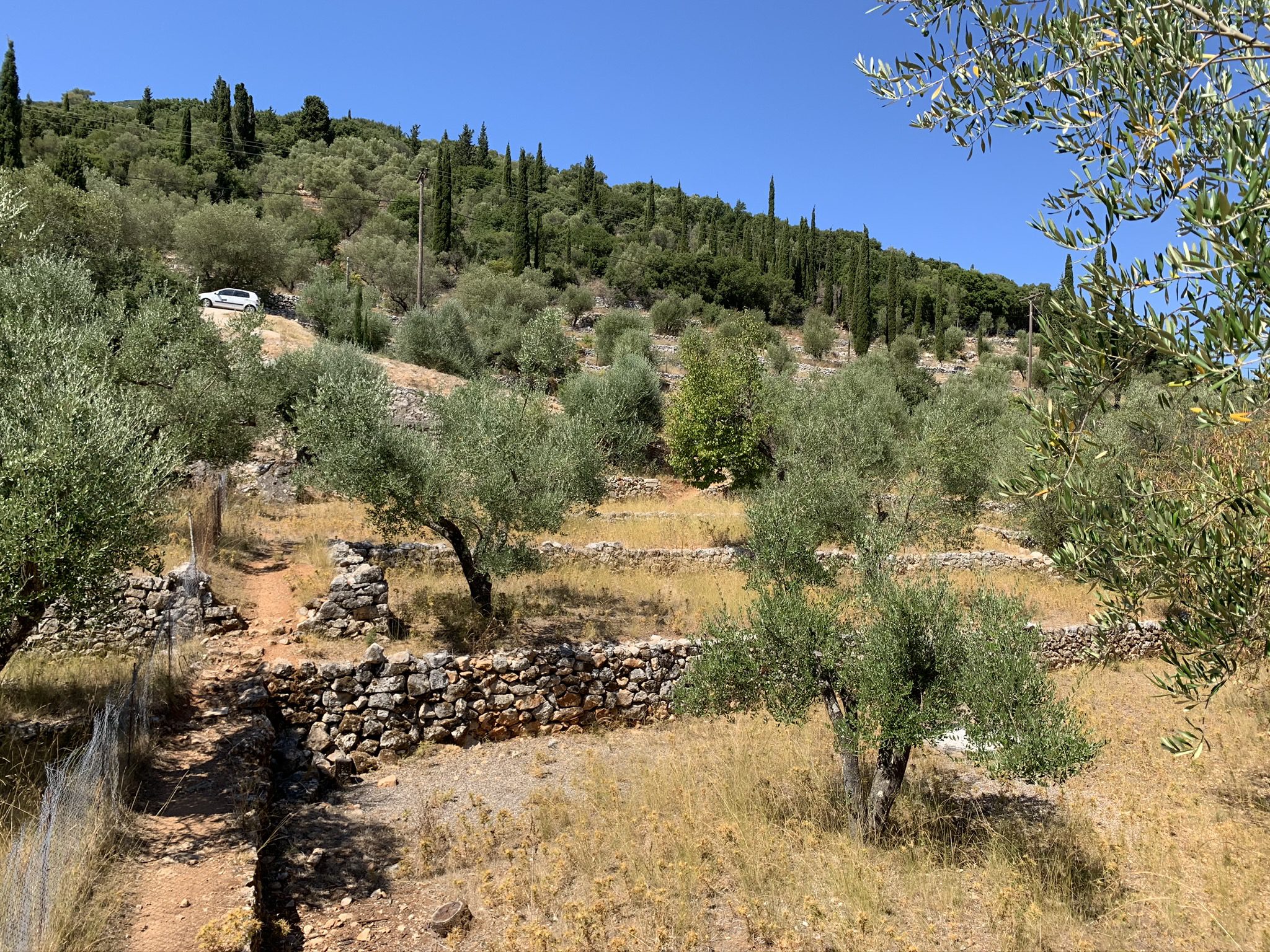 Landscape of terrain of land for sale in Ithaca Greece, Vathi