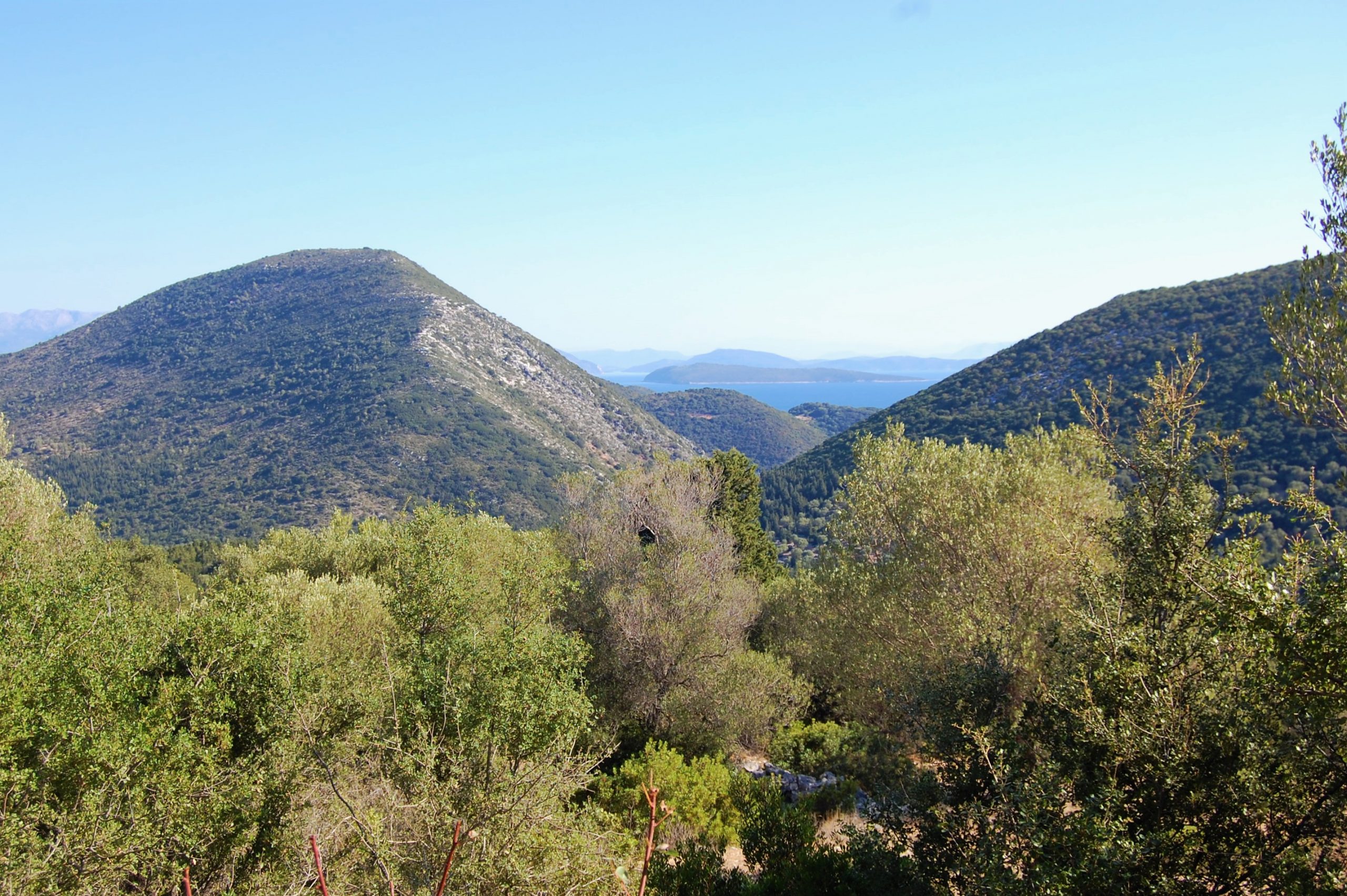 Terraced landscape of land for sale in Ithaca Greece, Stavros