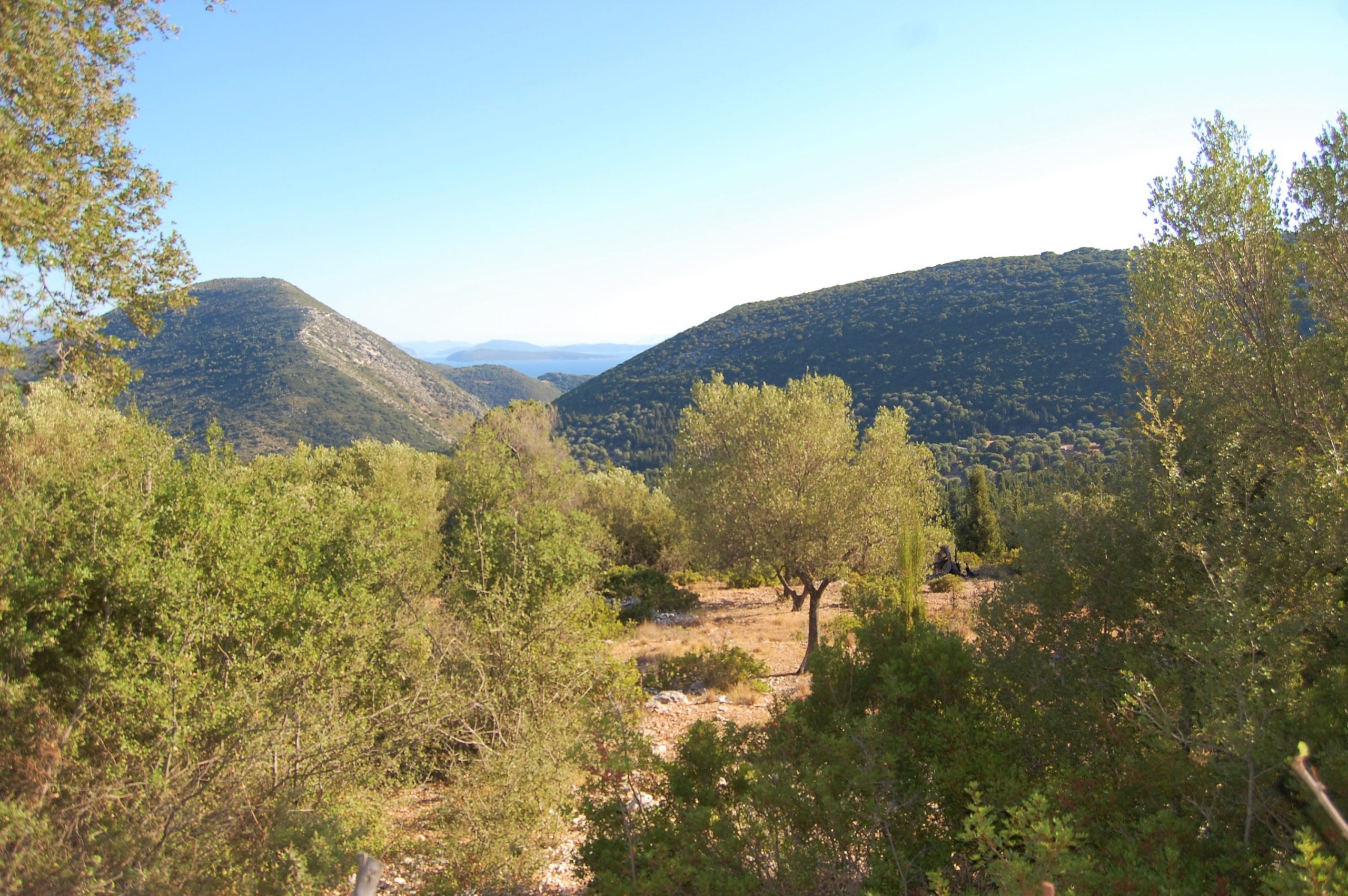 Terraced landscape of land for sale in Ithaca Greece, Stavros