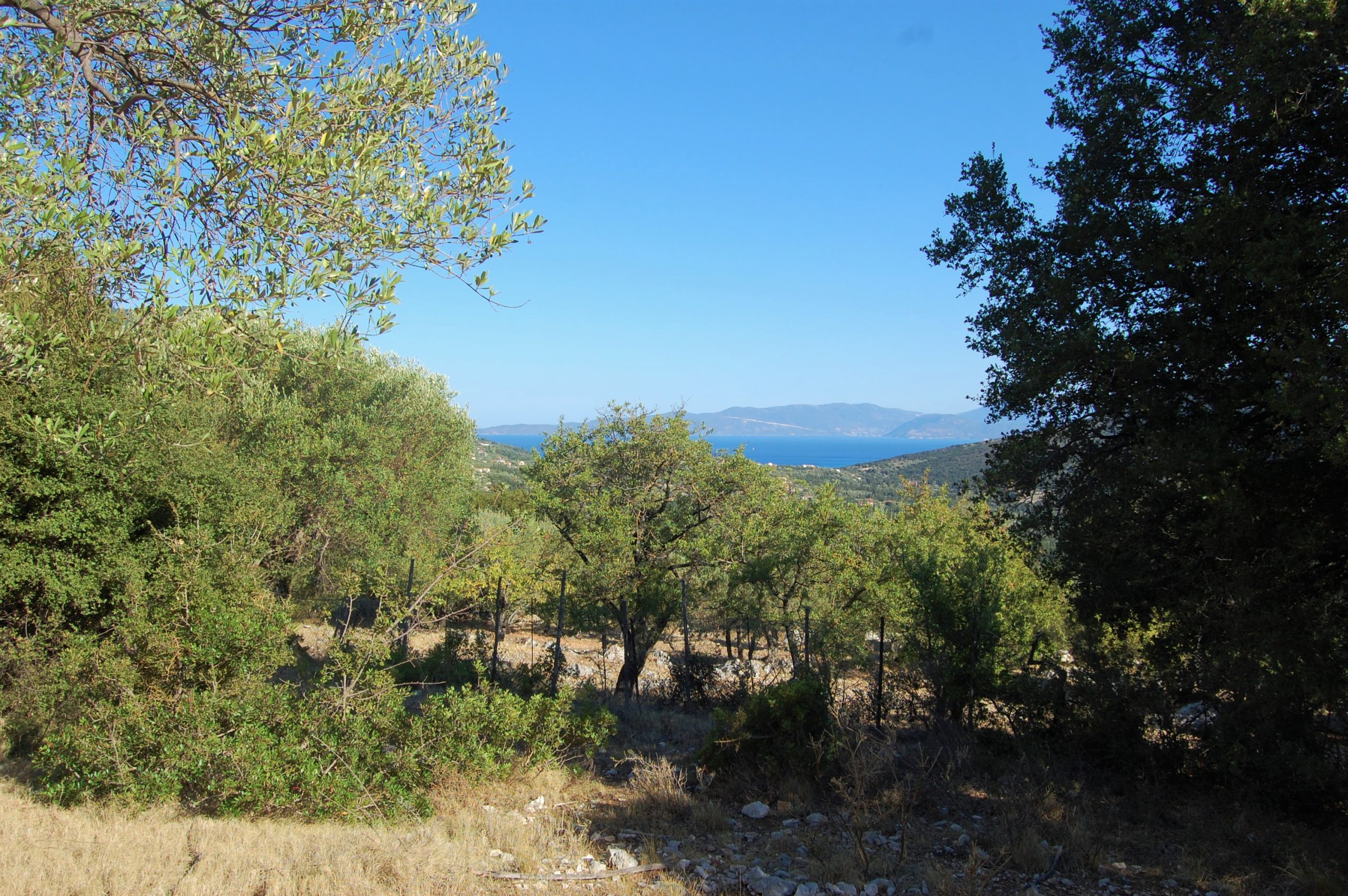 Terraced landscape an sea view from land for sale in Ithaca Greece, Stavros
