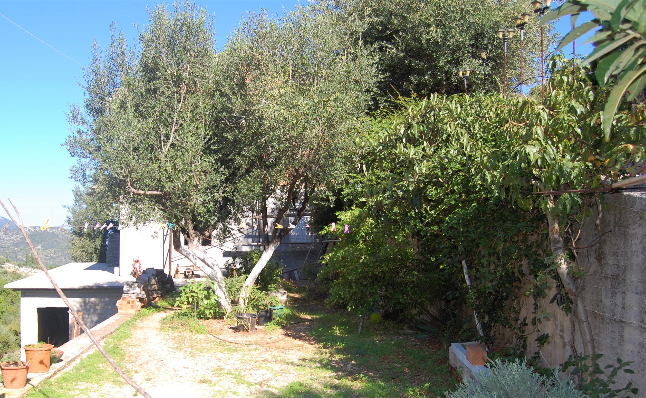 Garden of house for sale in Ithaca Greece, Perachori