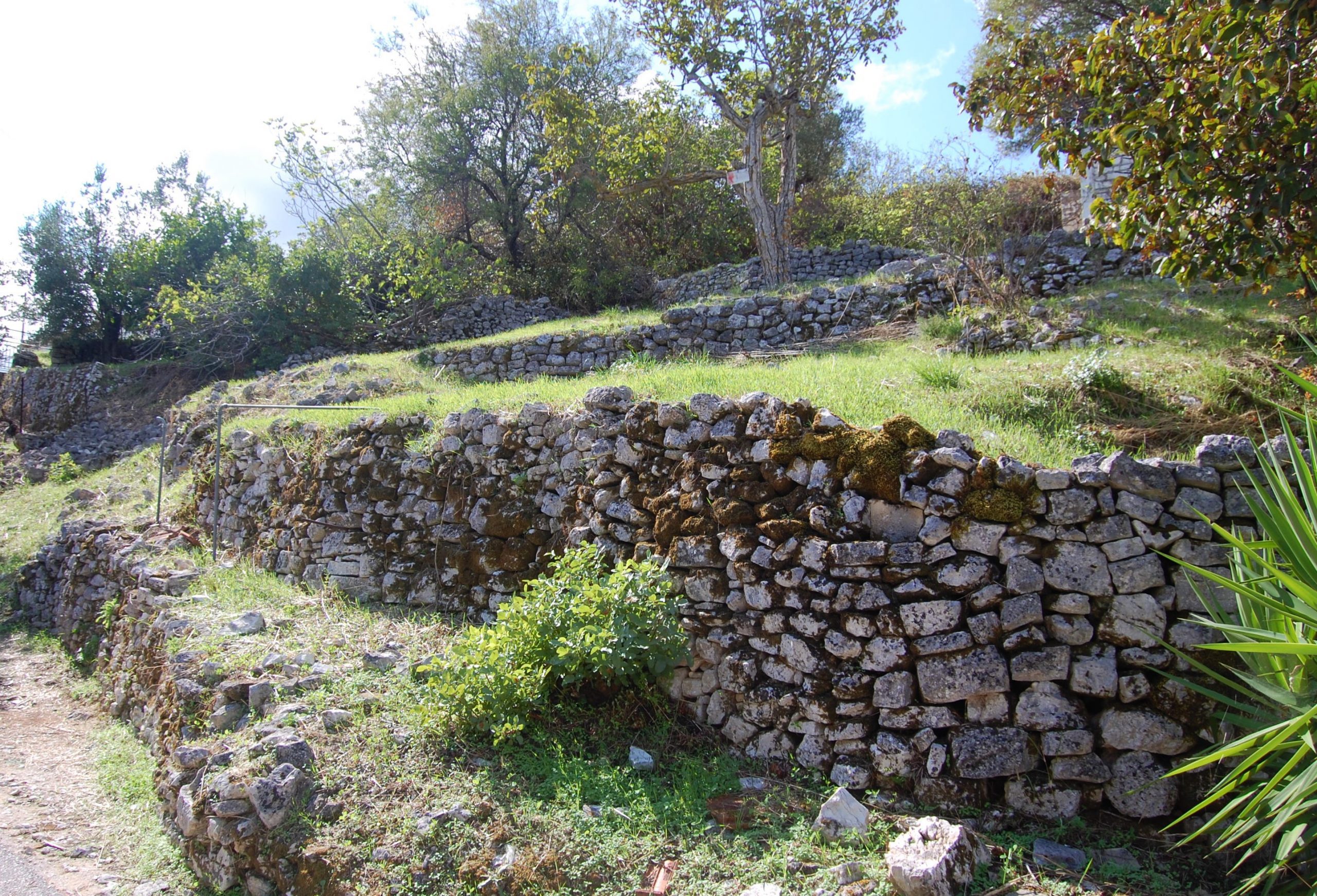 Terraced landscape of land for sale in Ithaca Greece, Perachori