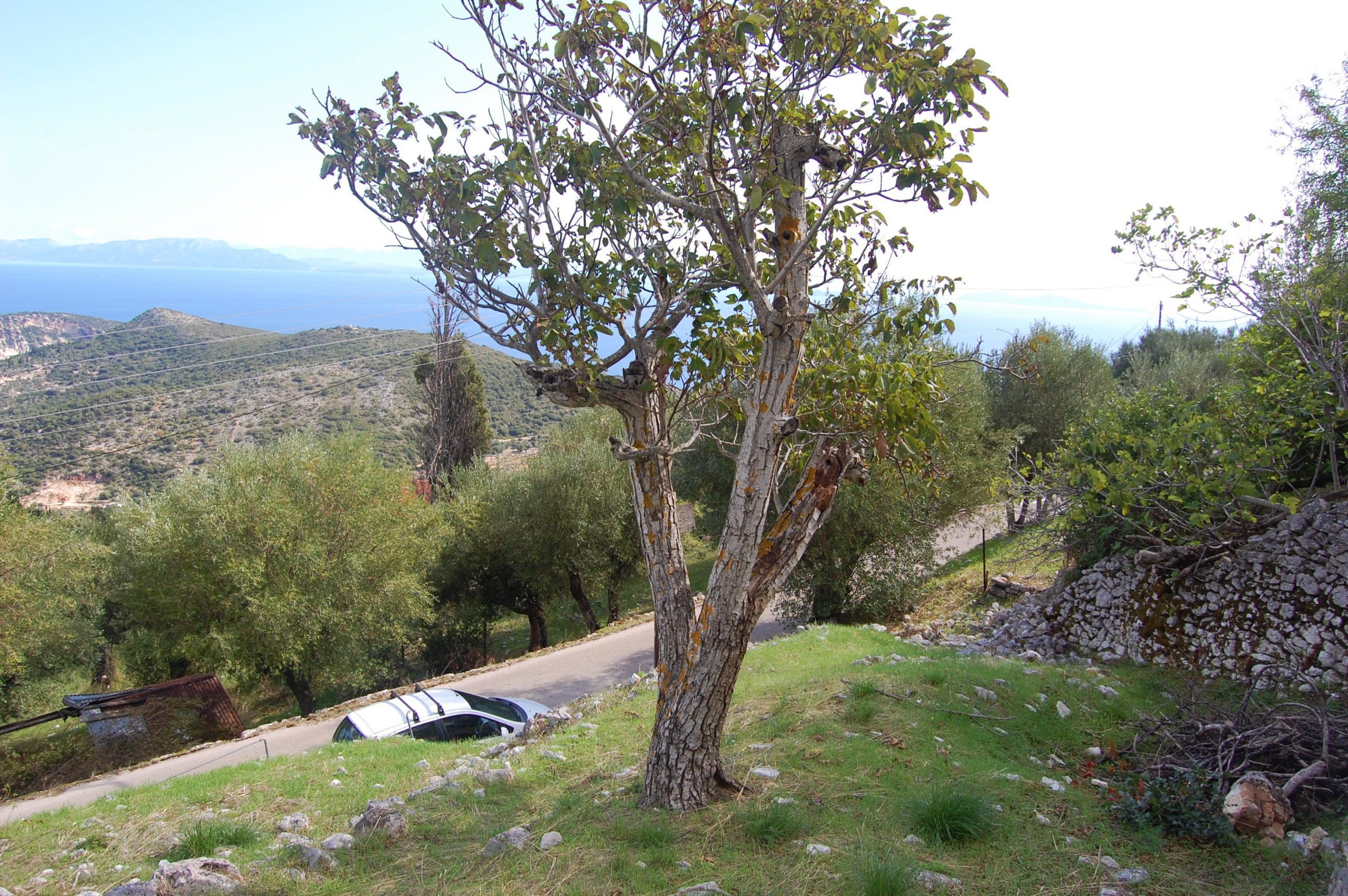 Terraced landscape and view of land for sale in Ithaca Greece, Perachori