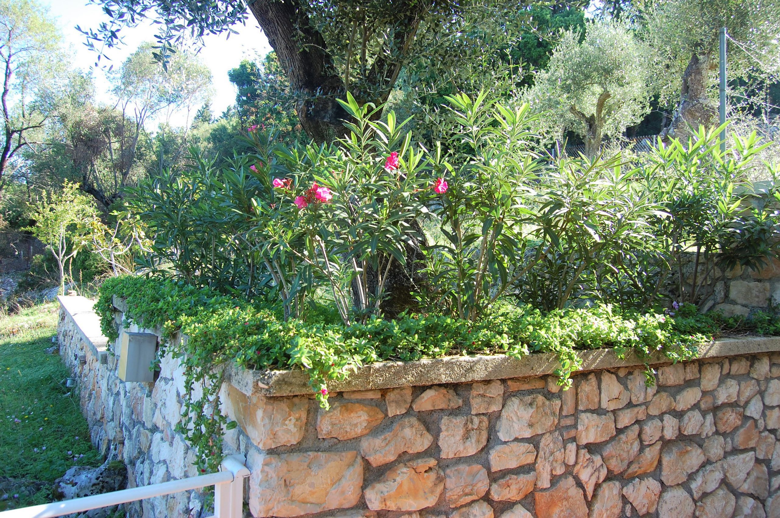 Stone terrace and garden of holiday house for rent in Ithaca Greece, Frikes