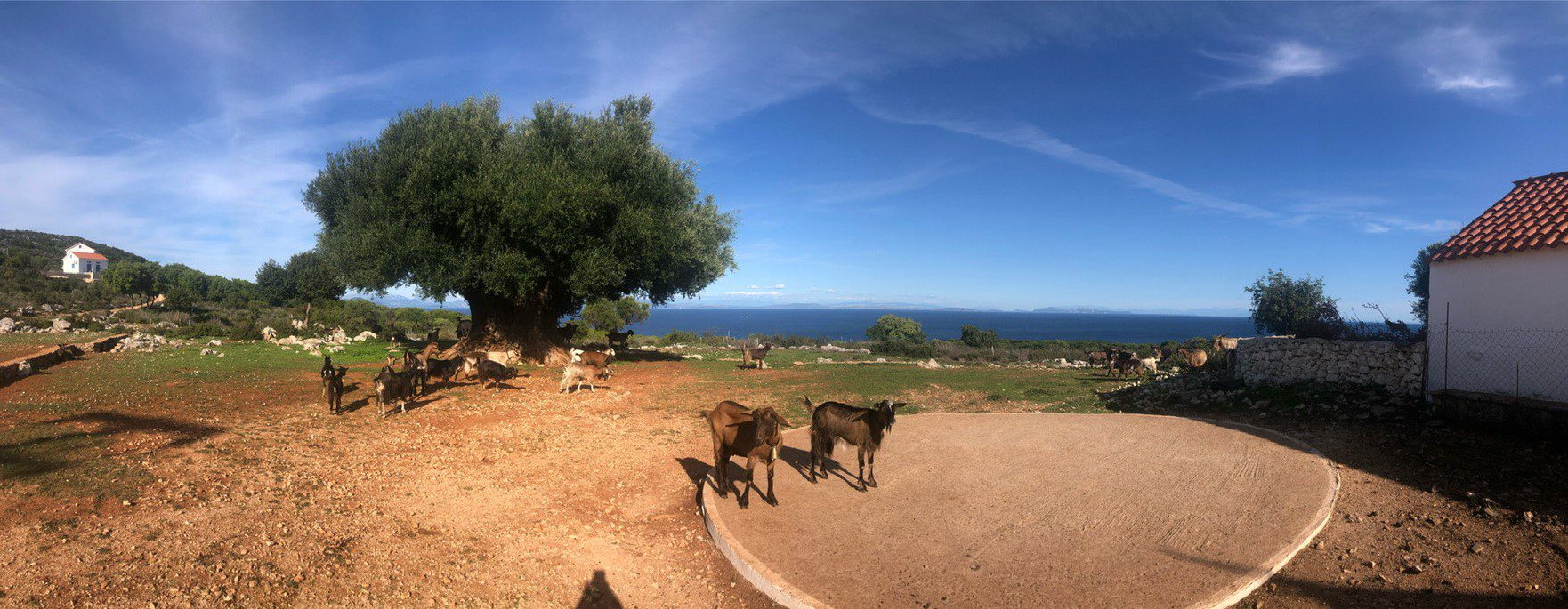 Landscape view of Ag Sophia in Ithaca Greece