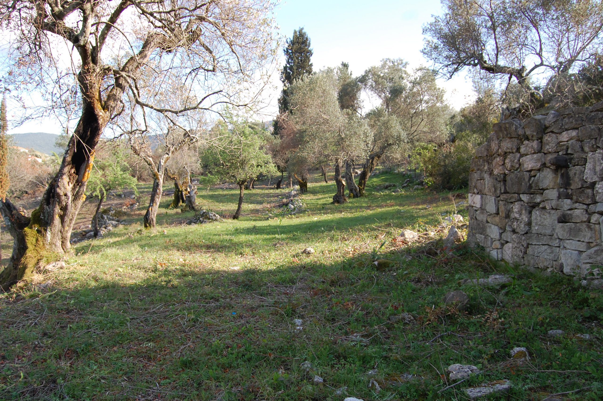 Landscape terrain of land for sale Ithaca Greece Afales