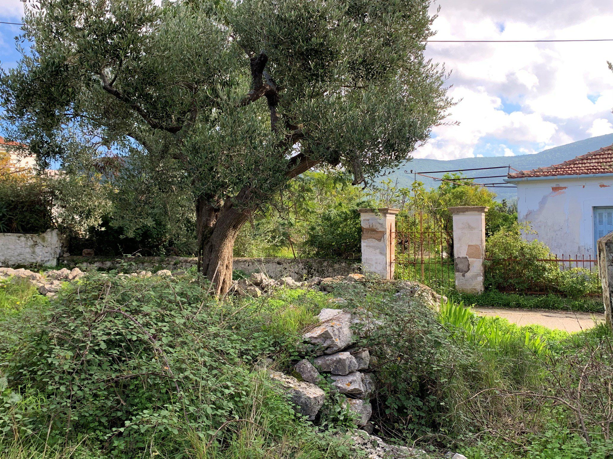Garden of stone ruin for sale in Ithaca Greece, Lahos