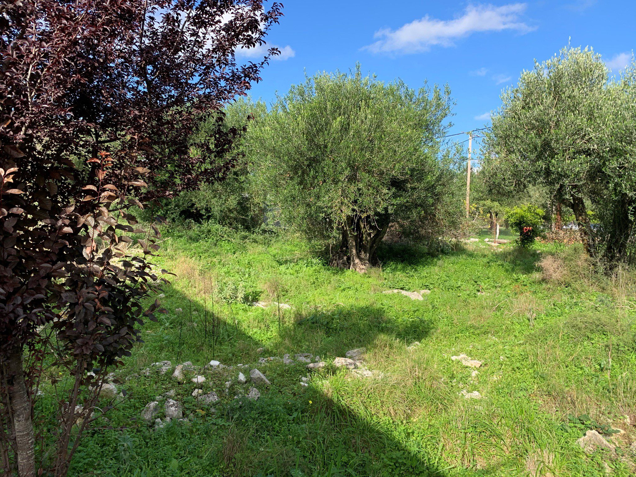 Garden of stone ruin for sale in Ithaca Greece, Lahos